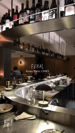 Feral