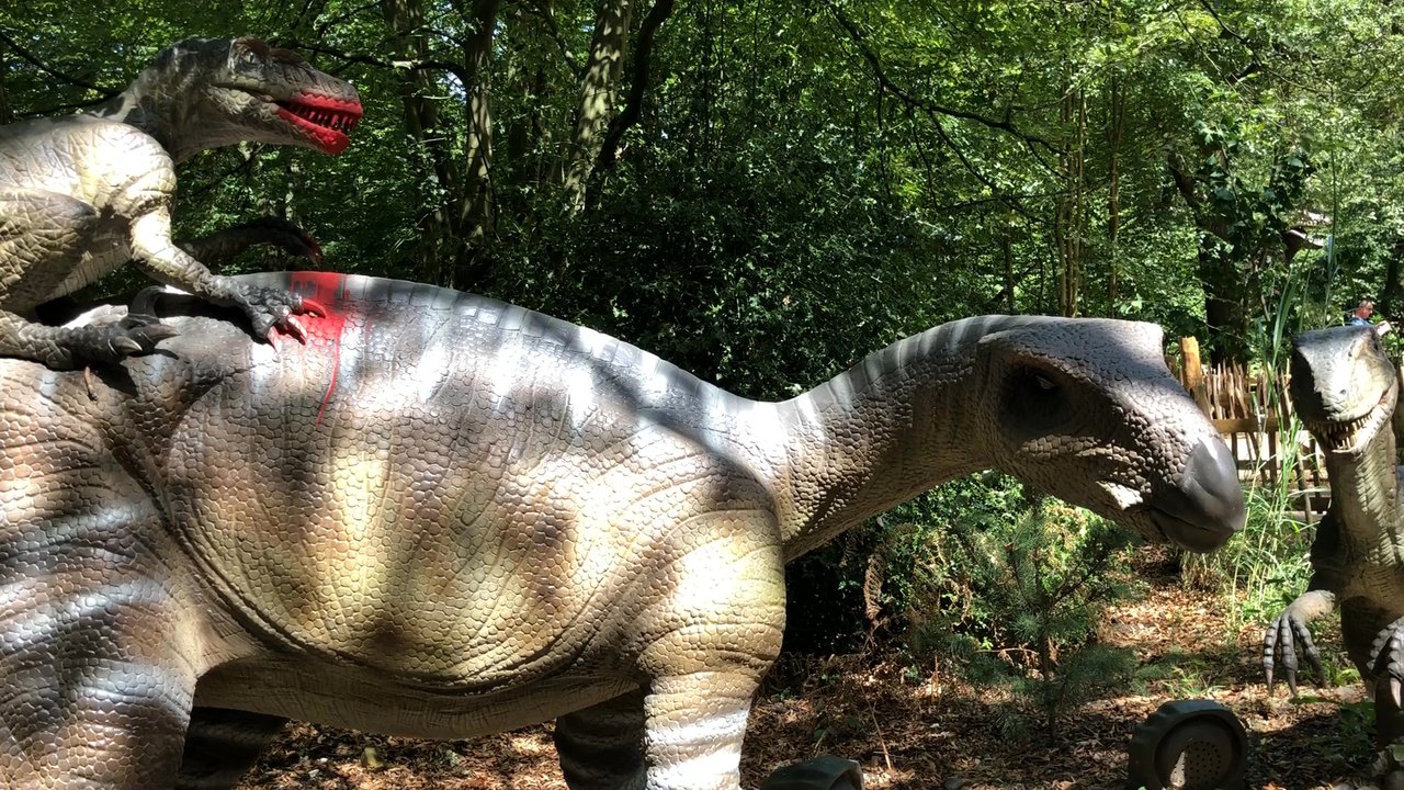 Paradise Wildlife Park - Dinosaur area - Zoos Near Me - London, XGL