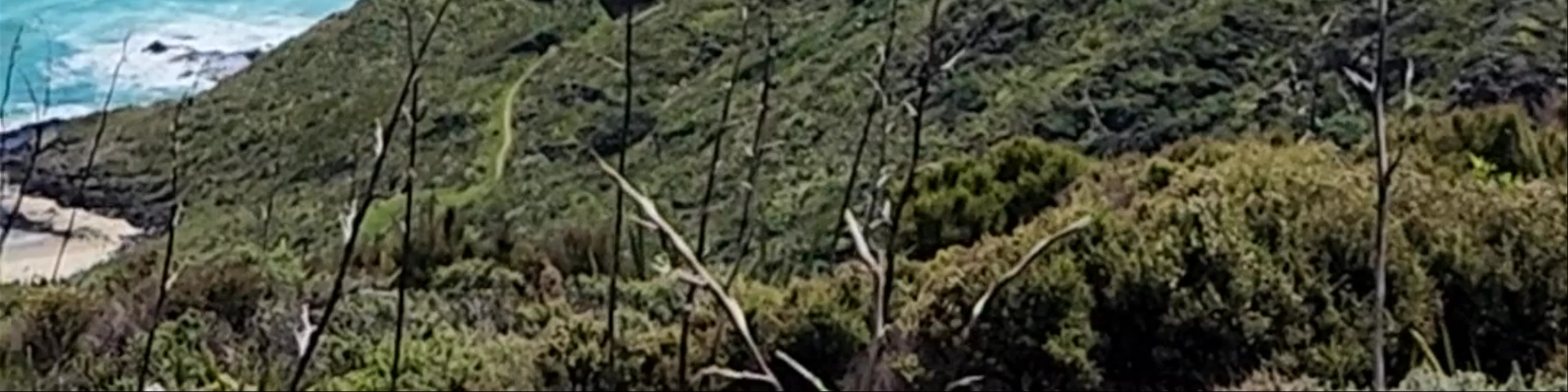 Cape Reinga
