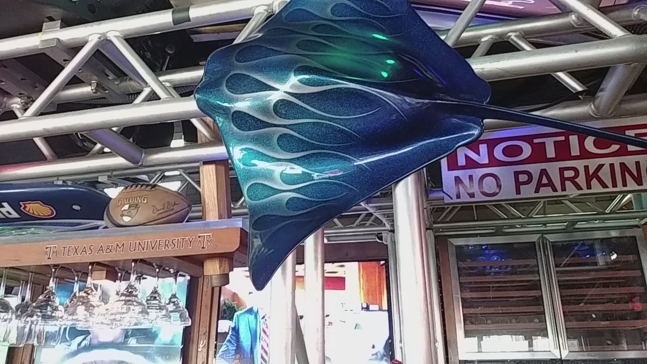 Stingrays Taphouse - Great little sports bar.  Great food and friendly atmosphere. - Sports Bars Near Me - Port Aransas, Texas