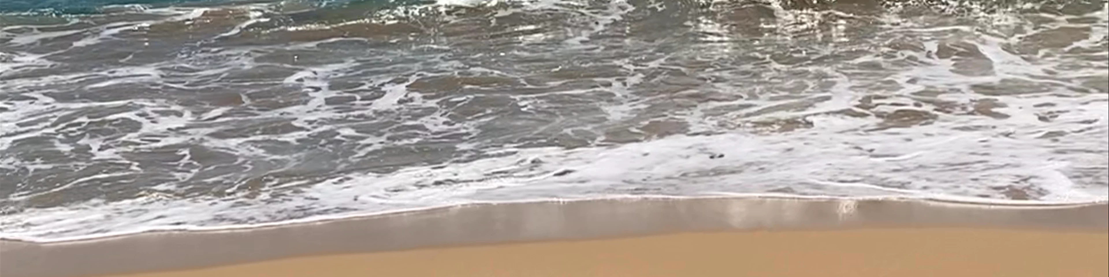 Playa Bluff