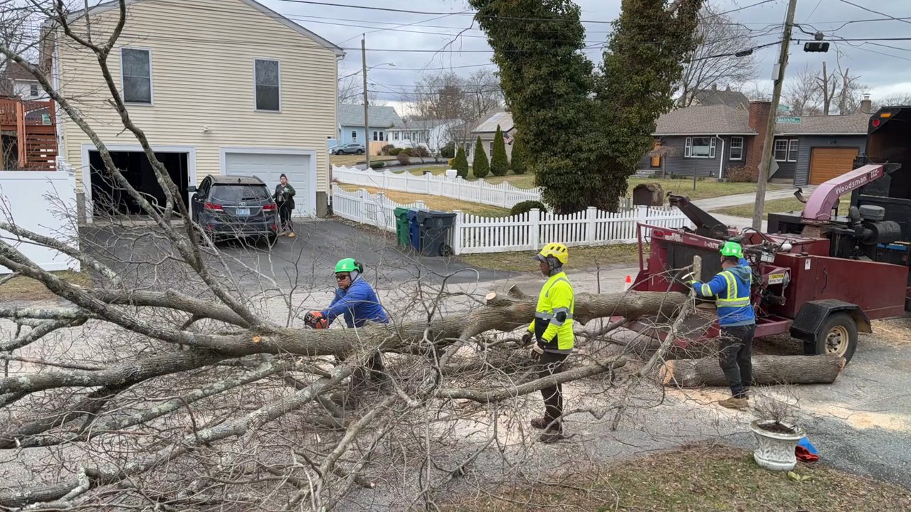 Green View Tree Service - Shredding Tree #2 - Tree Services Near Me - Cranston, Rhode Island