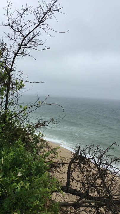 Nauset Light Beach - Nauset Light Beach in the rain - Beaches Near Me