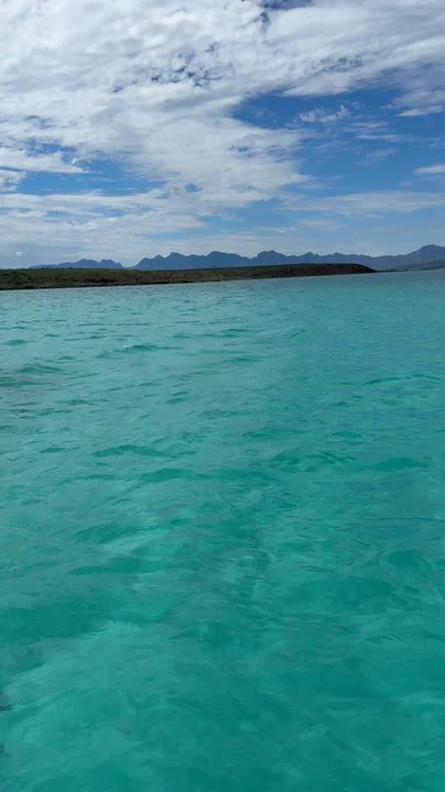 Wild Loreto Tours - Coronado Island in Mexico (Not SD!) - Tours Near Me - Loreto, ZAC