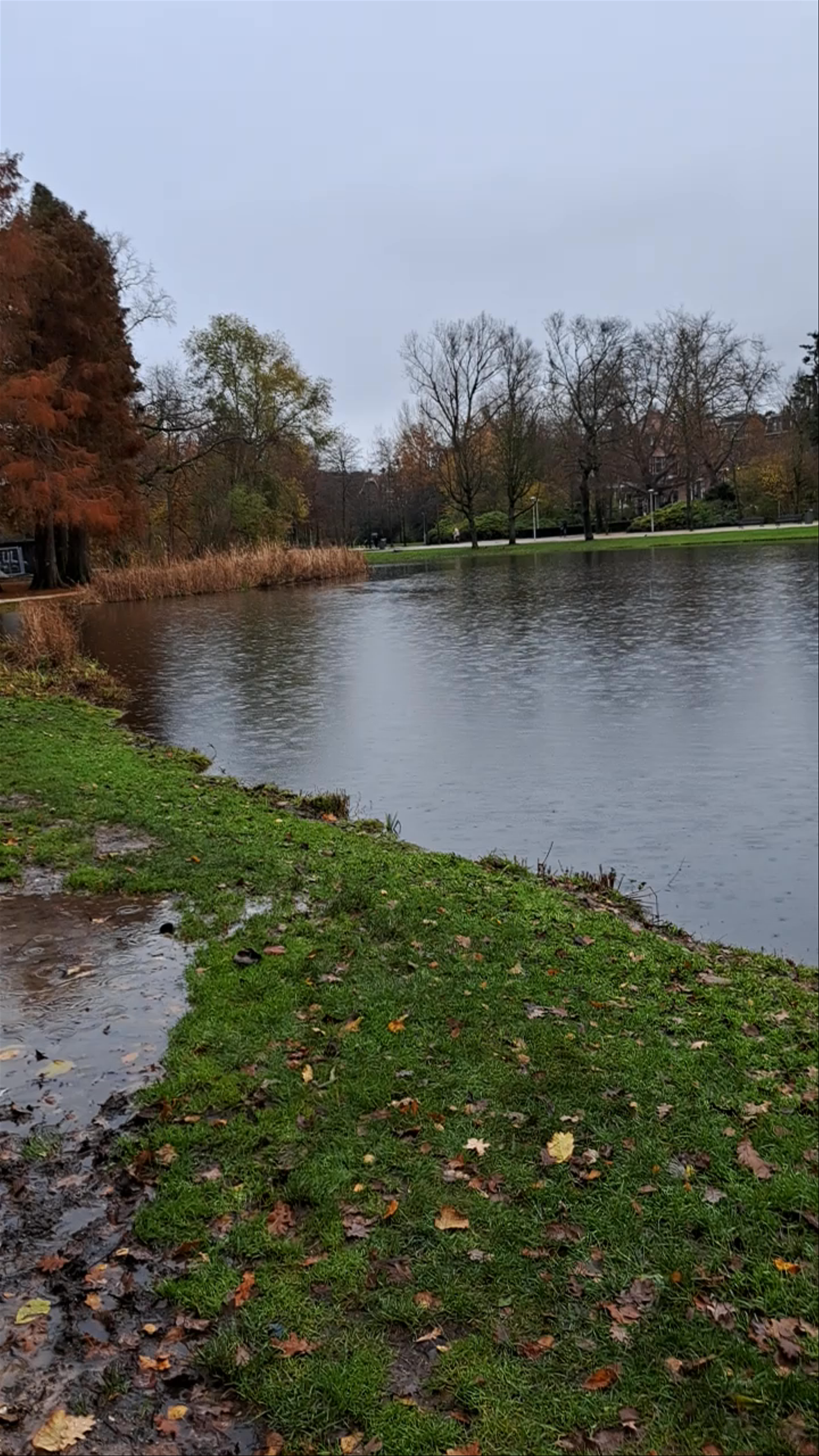 Vondelpark