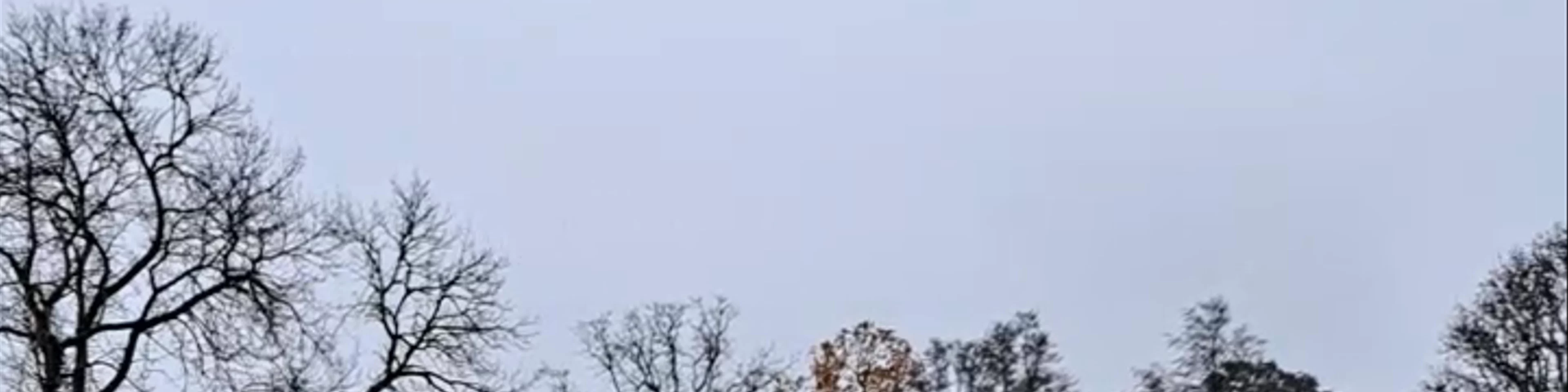 Vondelpark
