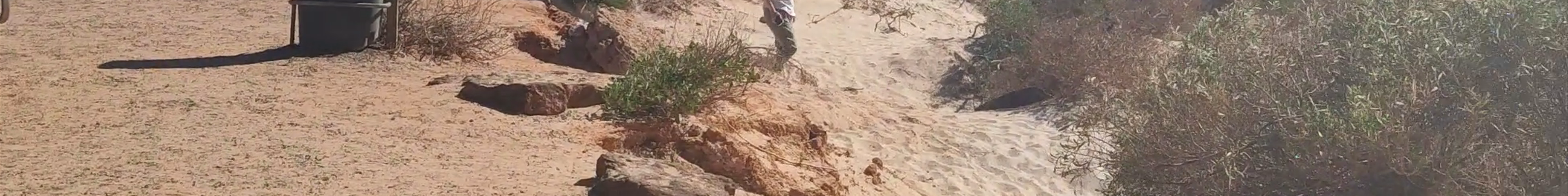 Tours & experiences in Geraldton
