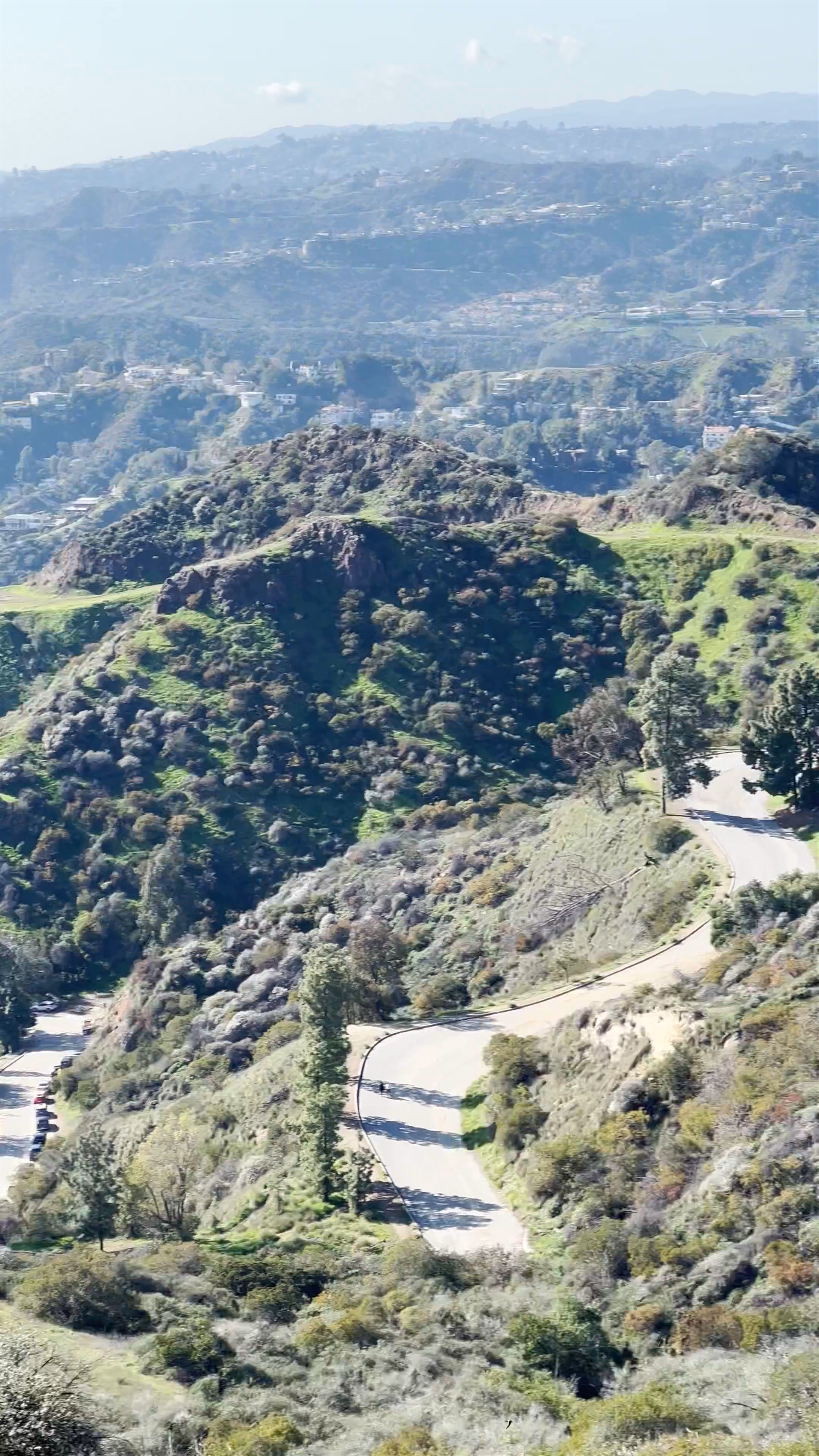 Hiking Griffith Park with Iconic Hollywood Views in Los Angeles