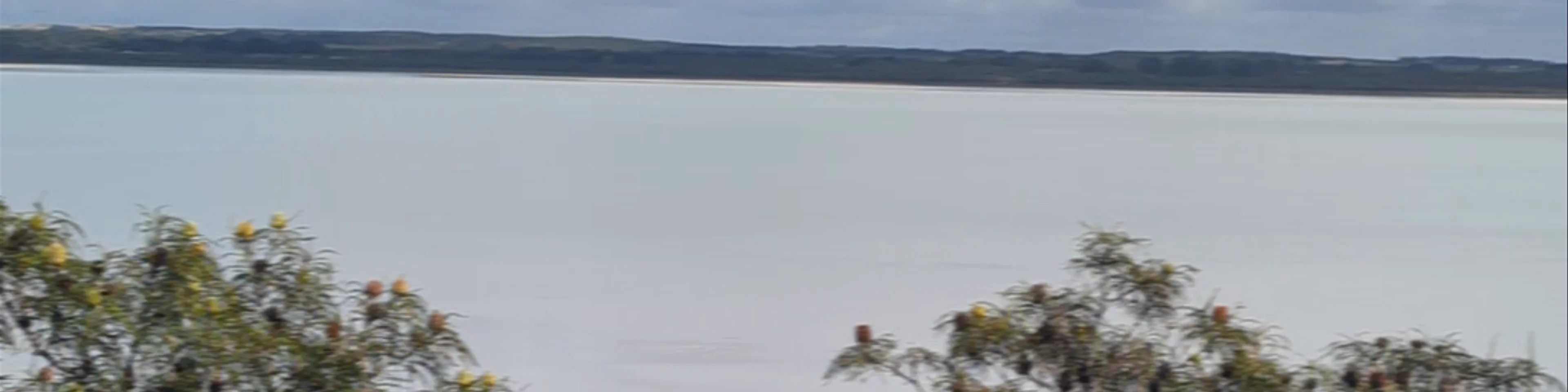 Pink Lake