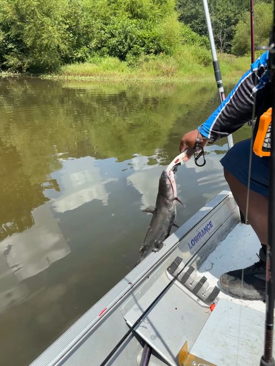 GB's Lake - nice release - Lakes Near Me - Smyrna, Georgia
