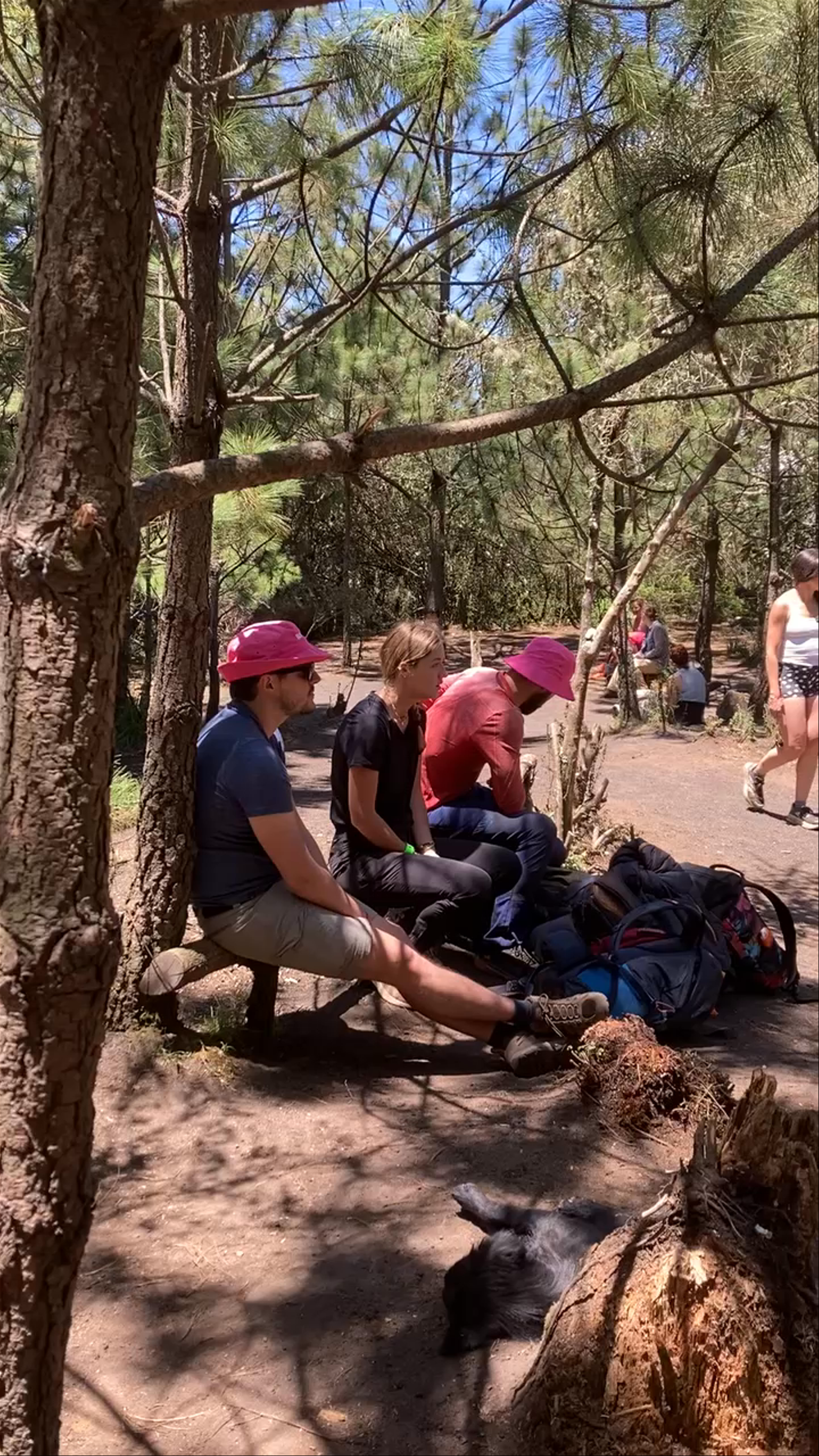 Acatenango Volcano Trailhead: Rest and Recharge Amidst Guatemala's Pine Forest