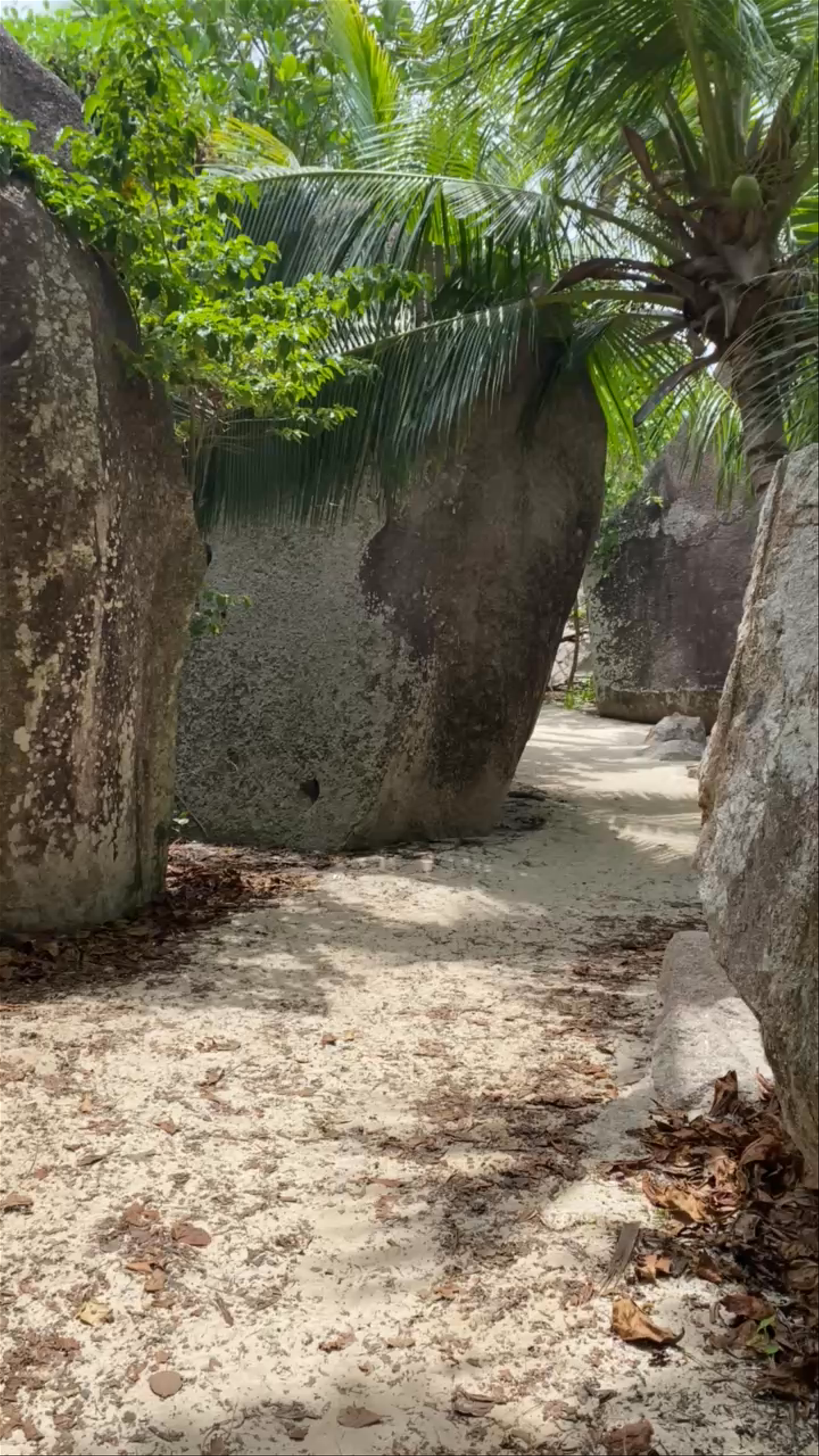 Anse Source d'Argent