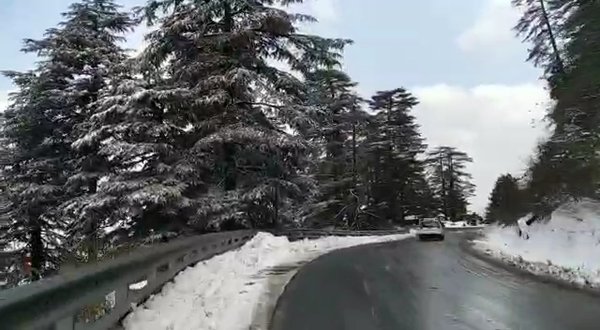 Photo of ।। सैलानी ।। (A Hind