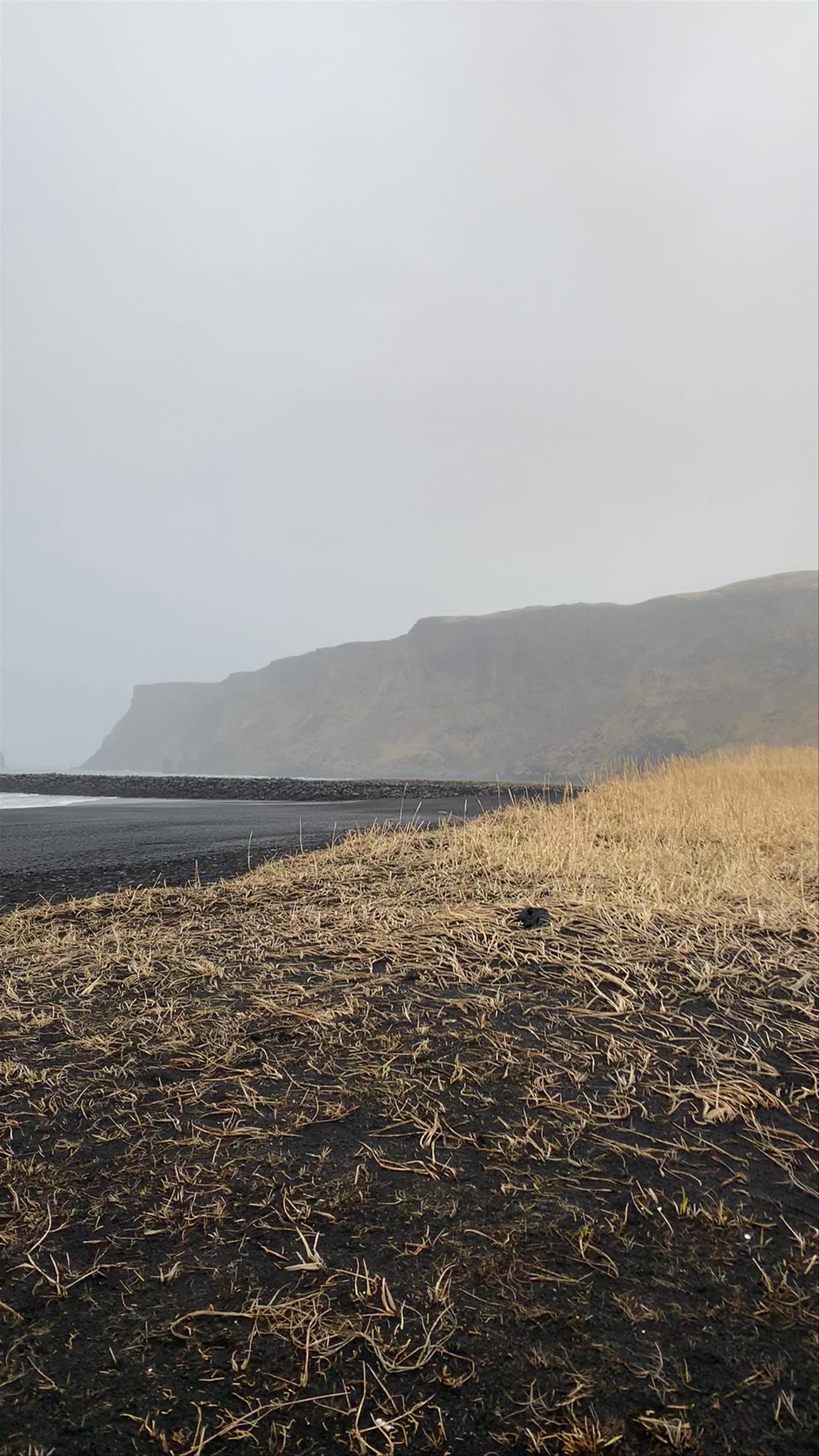 Black Sand Beach Vik: Moody Coastal Escape in Iceland