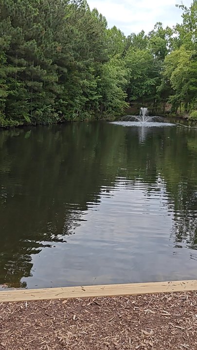 Webb Bridge Park - Beautiful view - Parks Near Me - Alpharetta, Georgia