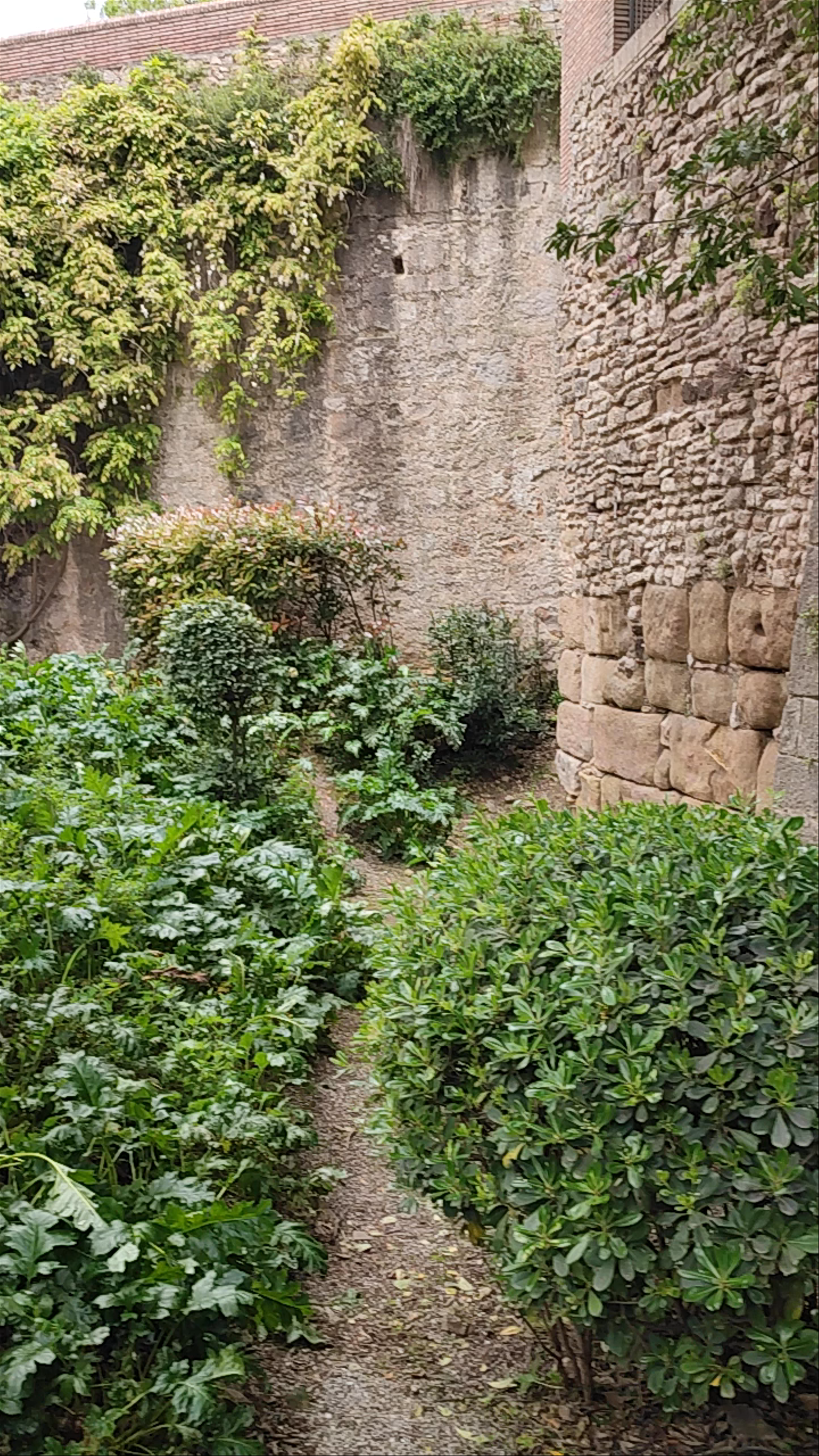 Serene Walk Through Jardins dels Alemanys in Girona