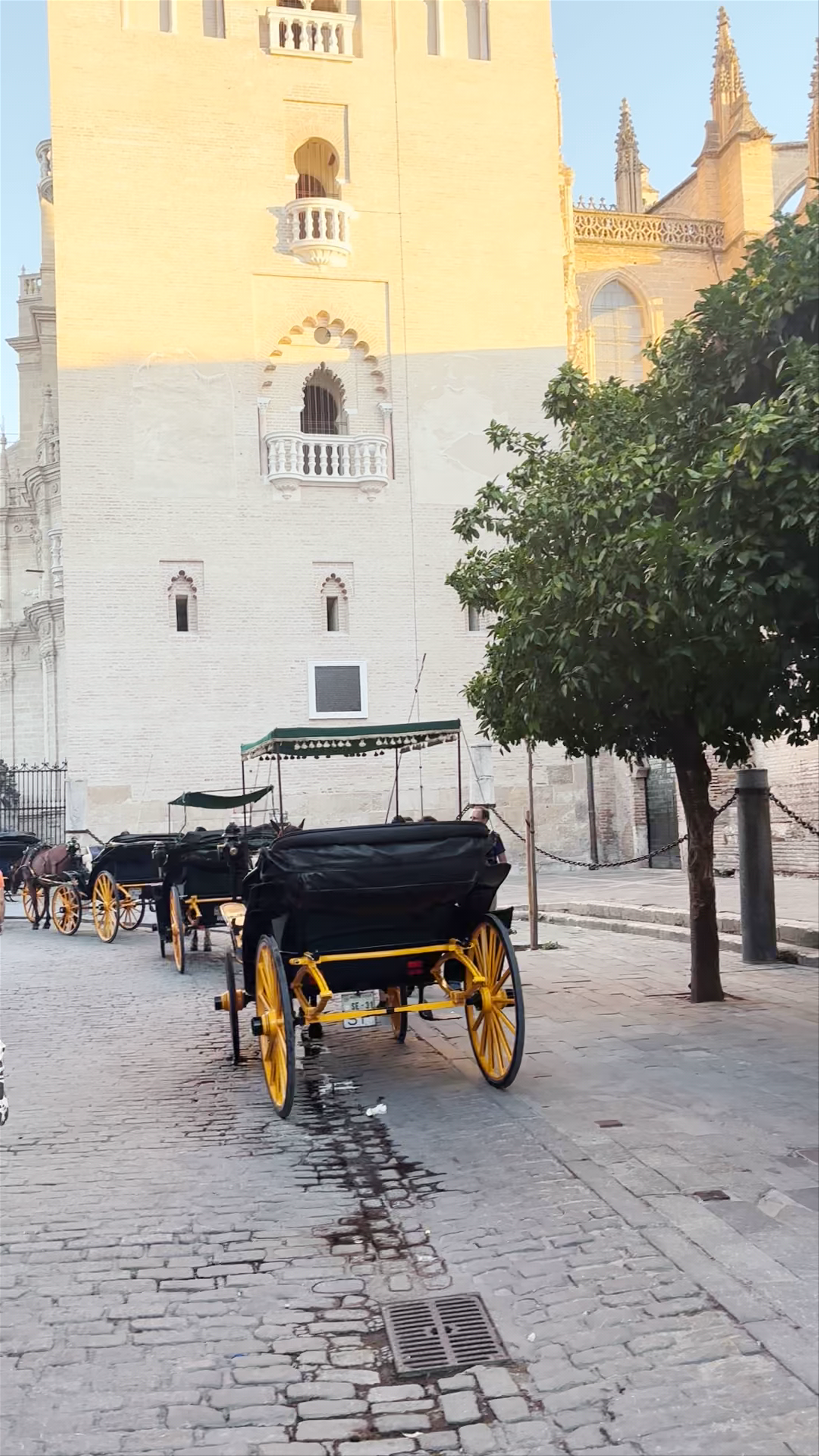 La Giralda: Iconic Sunset Views in Seville, Spain