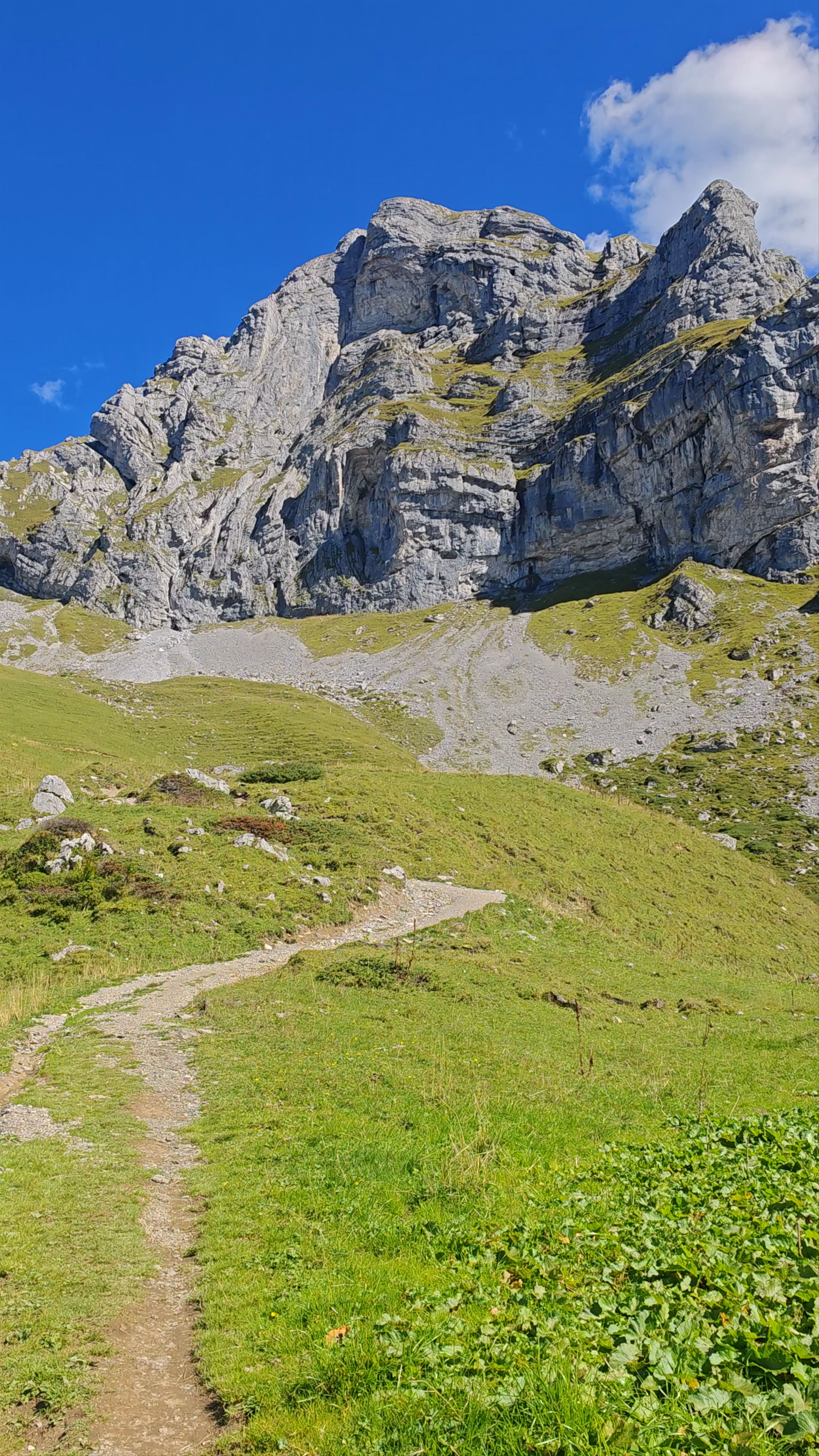 Walenpfad