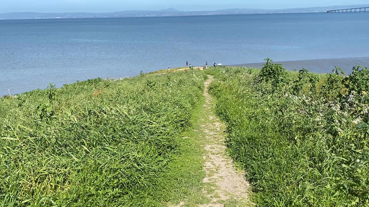 Seal Point Park - Parks Near Me - San Mateo, California