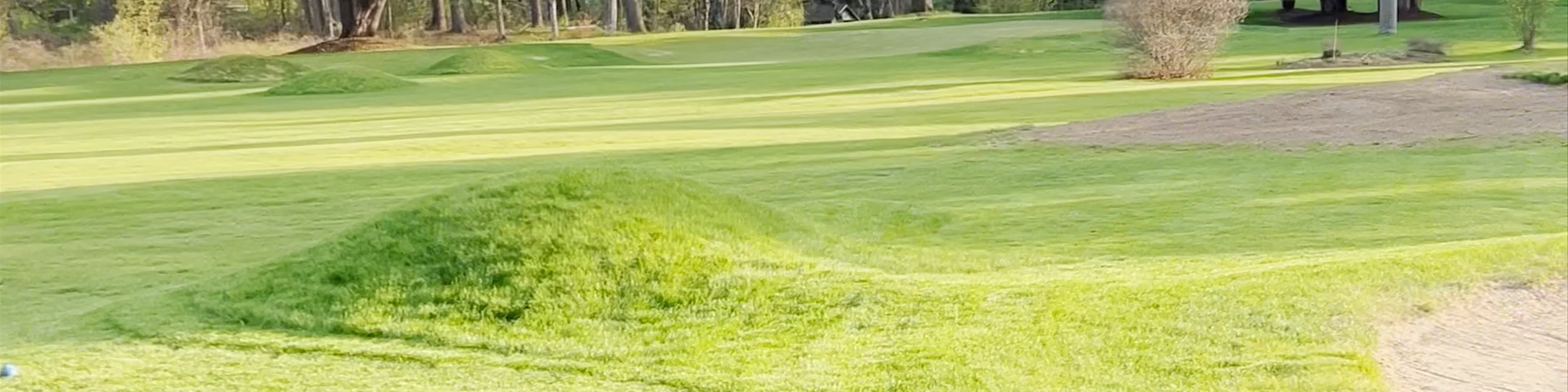 Sunnyside Par 3