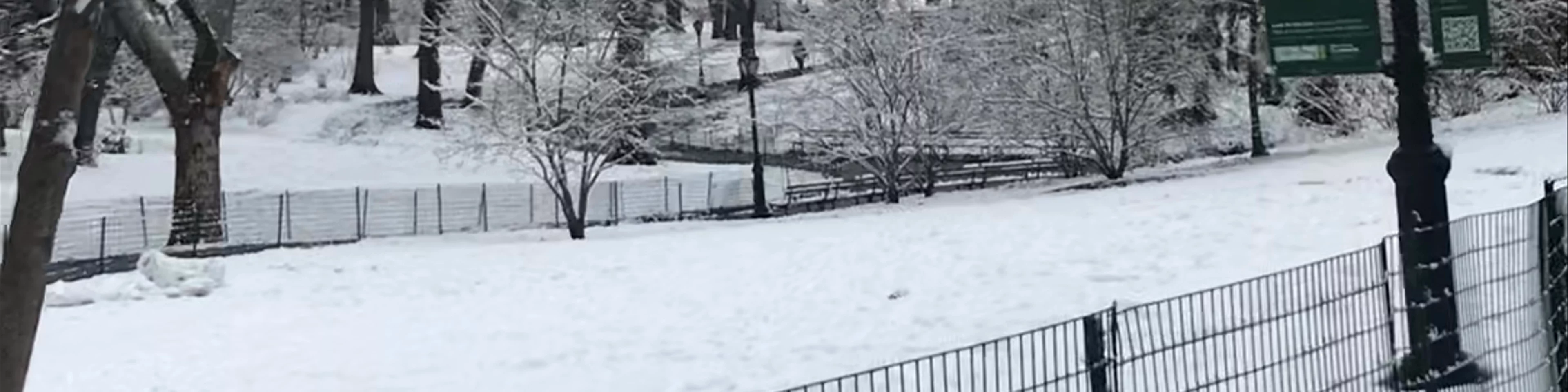 Central Park South