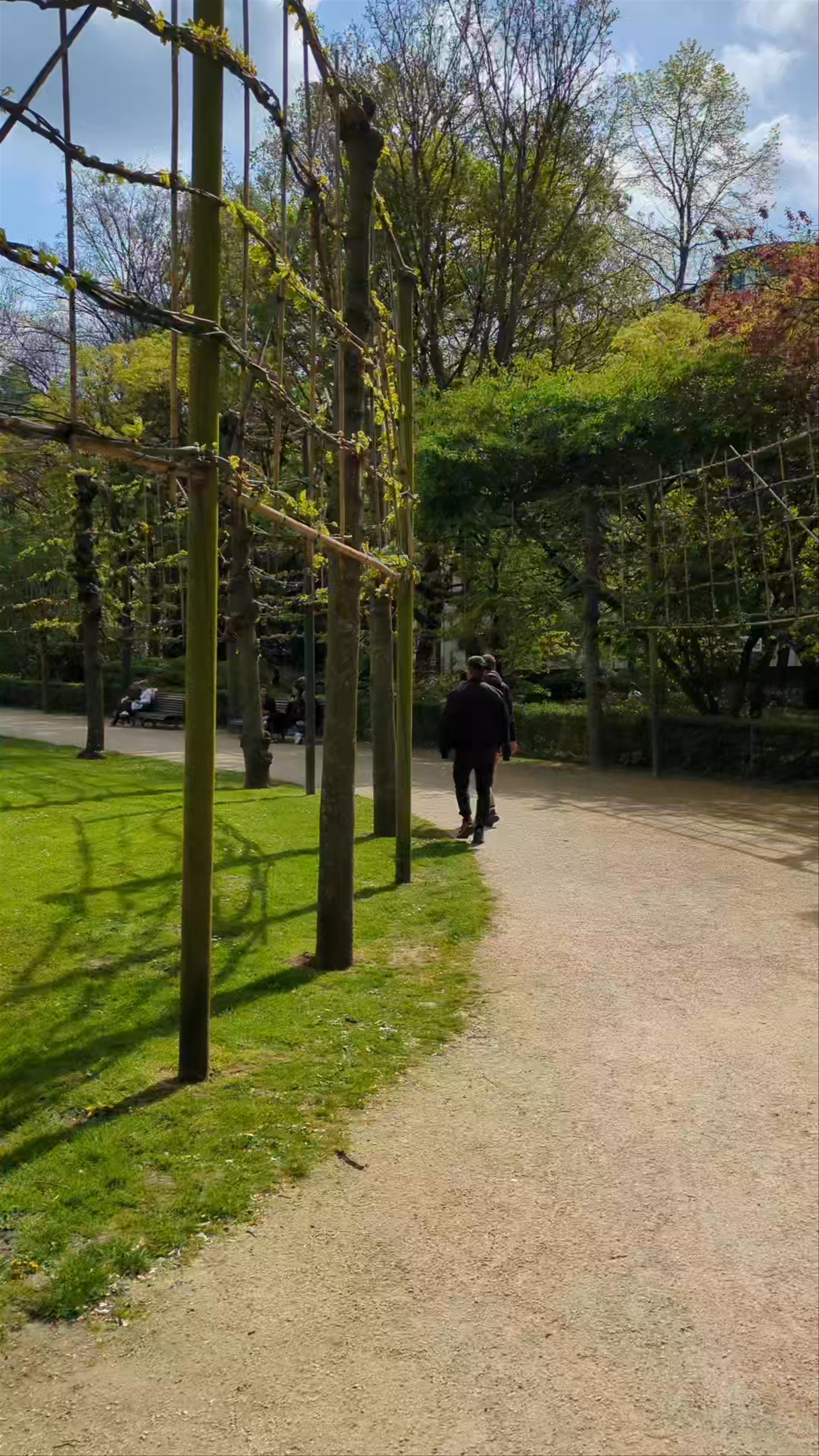 Springtime Tranquility at Parc du Cinquantenaire, Brussels