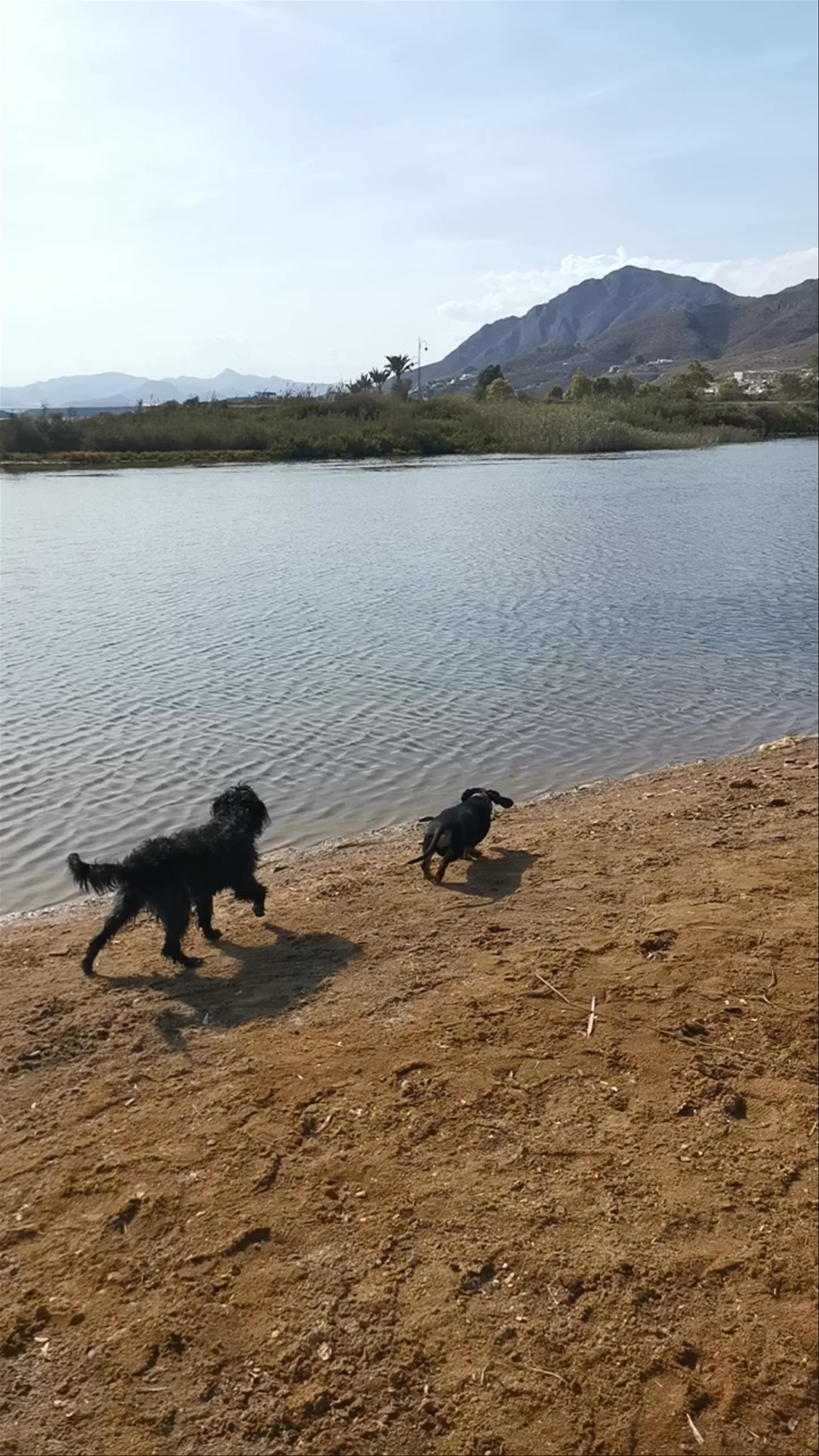 Playful Moments at Playa de Las Moreras, Mazarrón