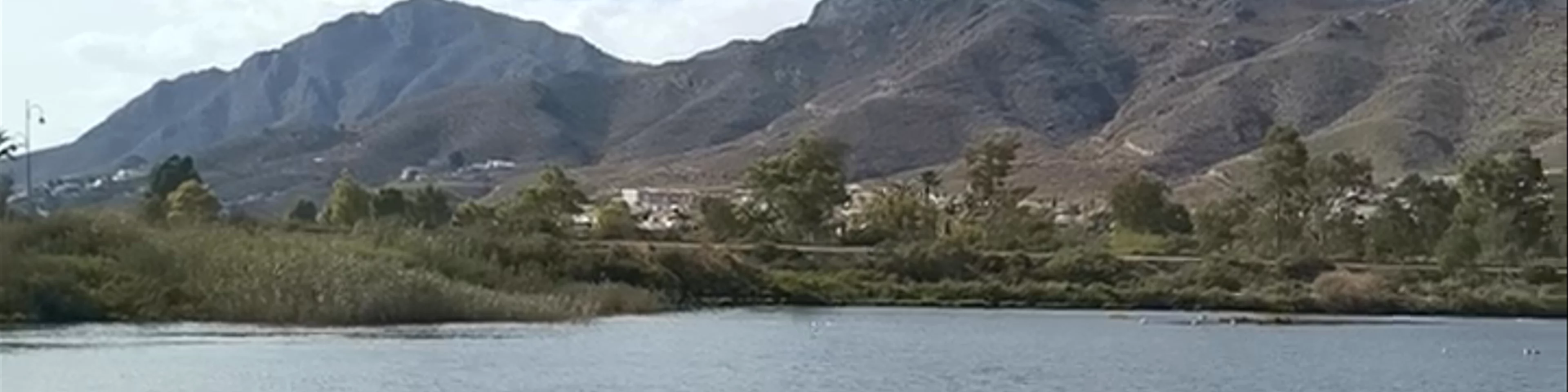 Playa de Las Moreras. Playa Canina