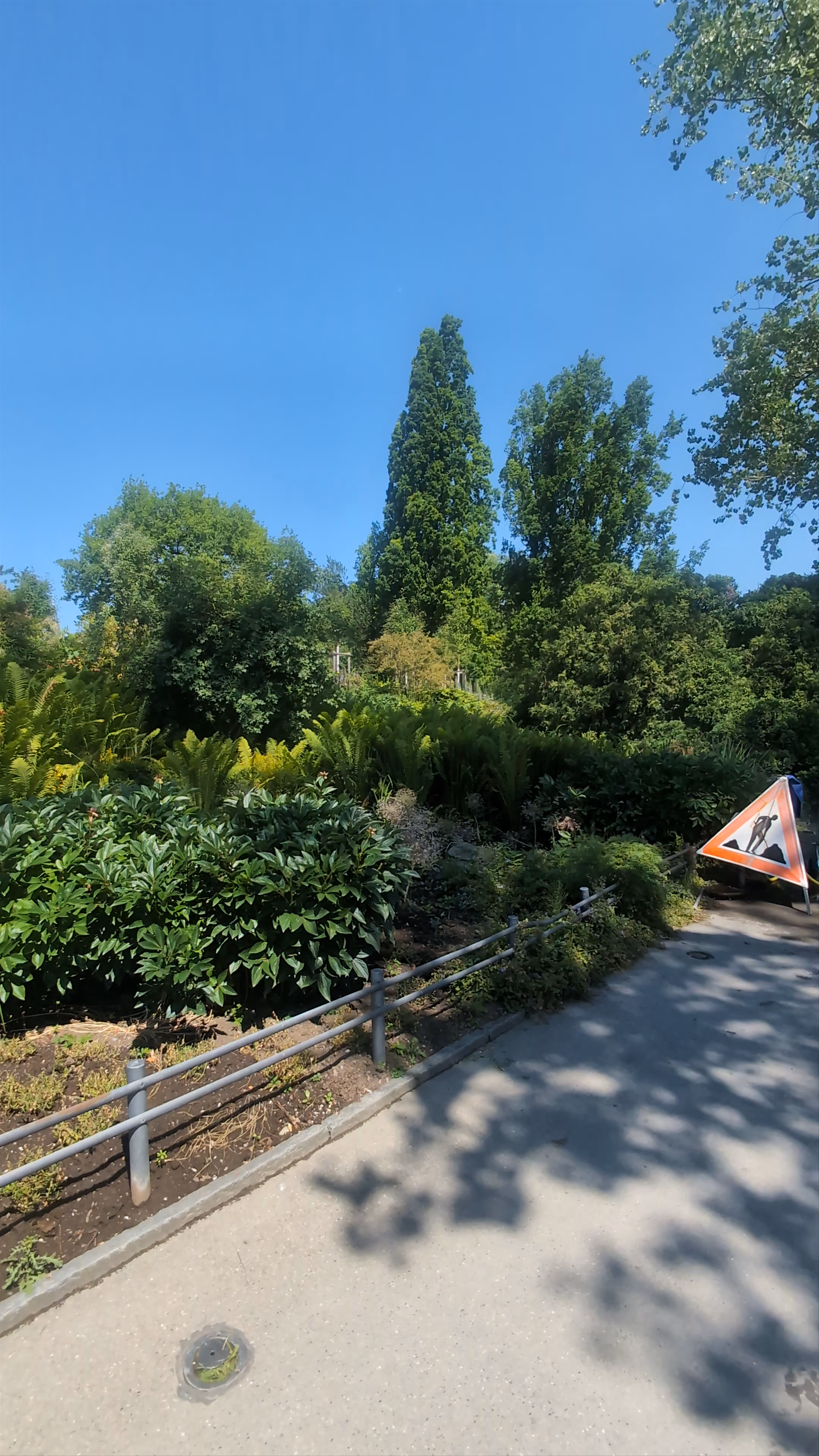Rentenwiese
