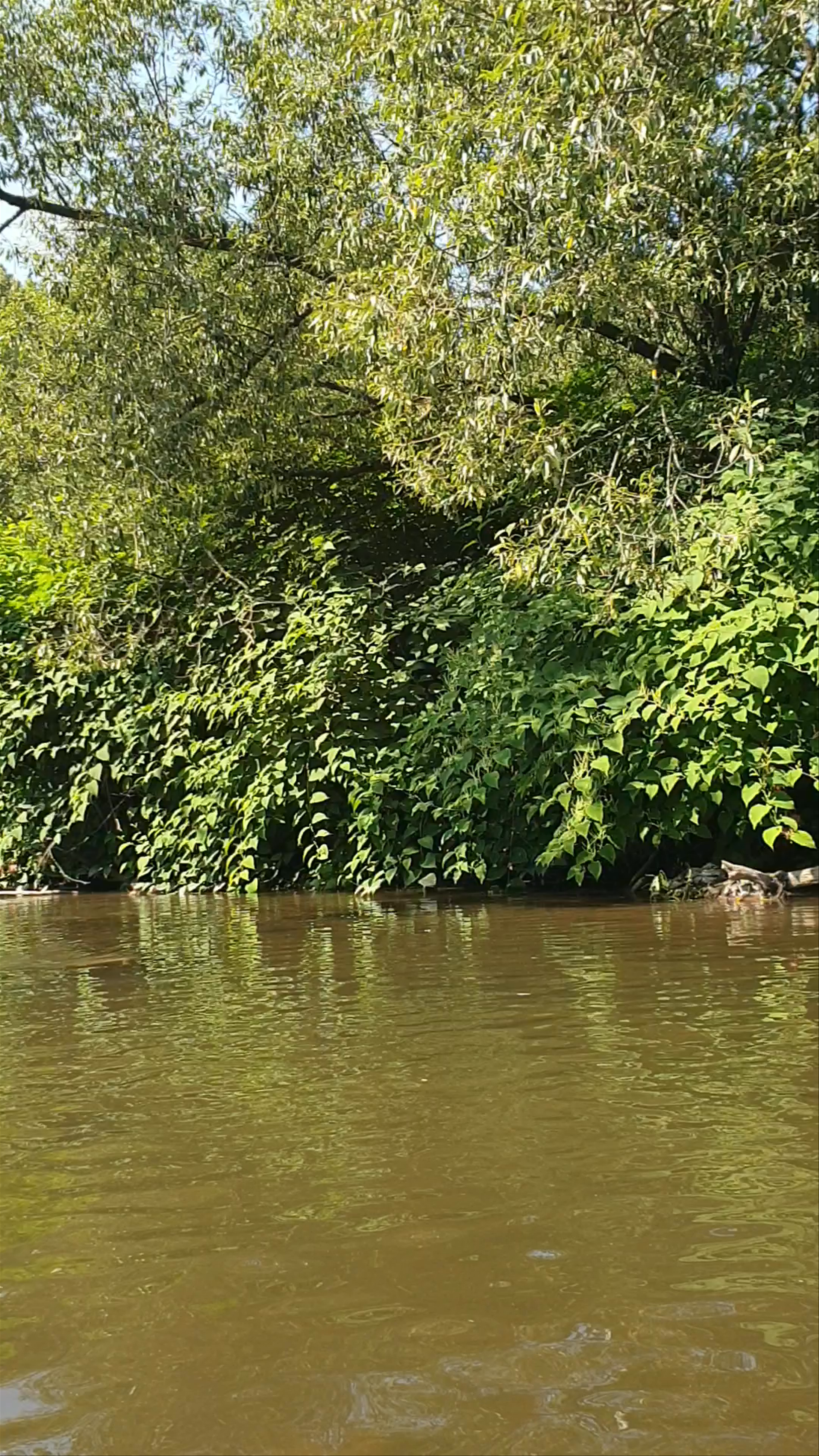 Rafting Bardo - Spływy Pontonowe Bardo