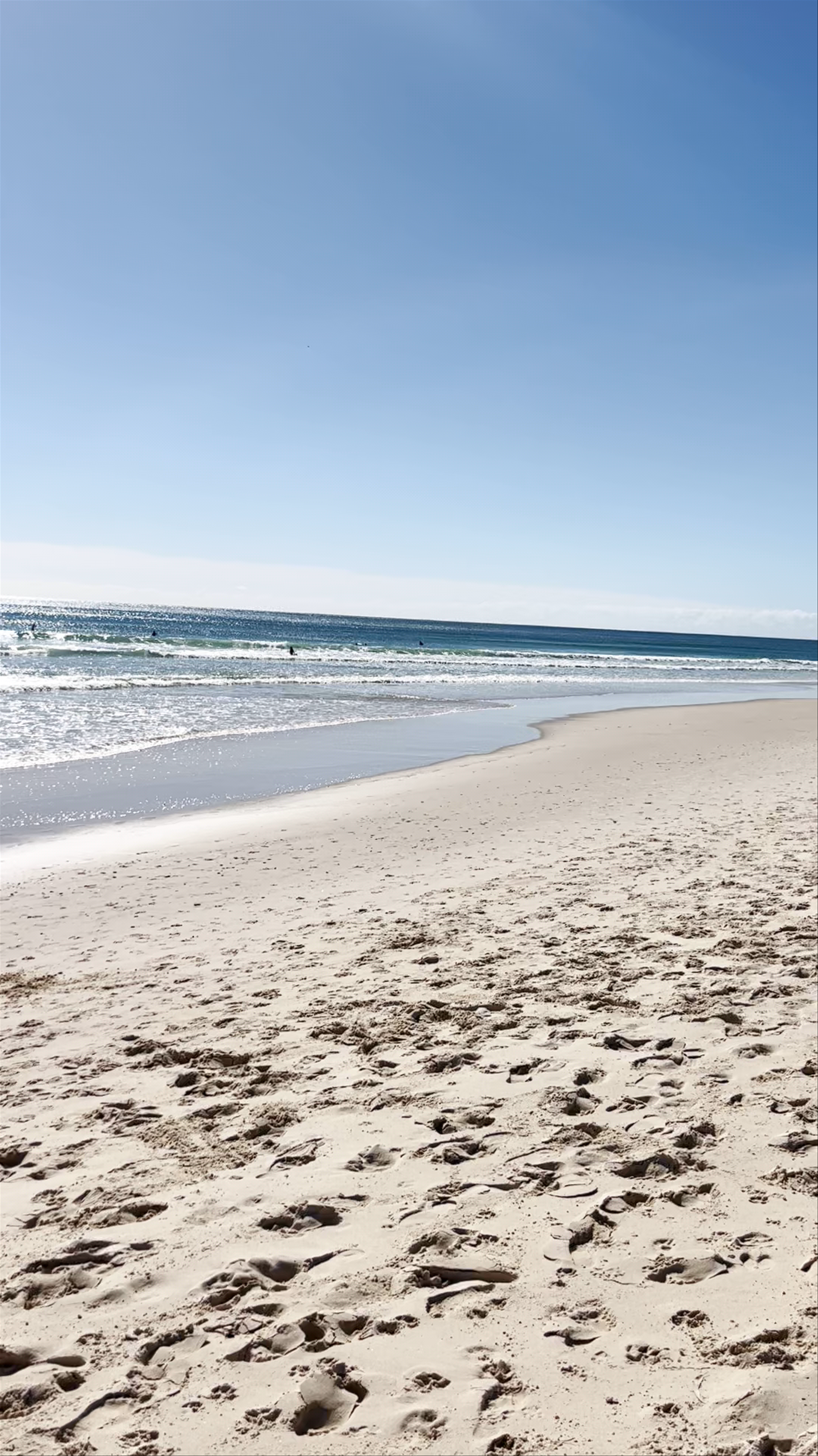 Palm Beach Dog Off-Leash Beach: A Sunny Escape for Dogs and Nature Lovers in Queensland