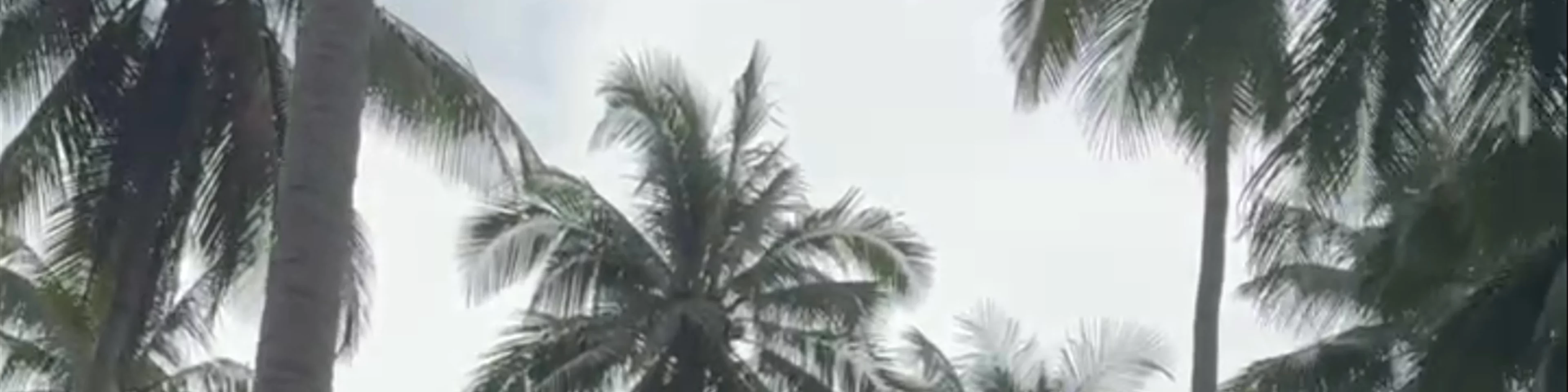 Coconut Beach