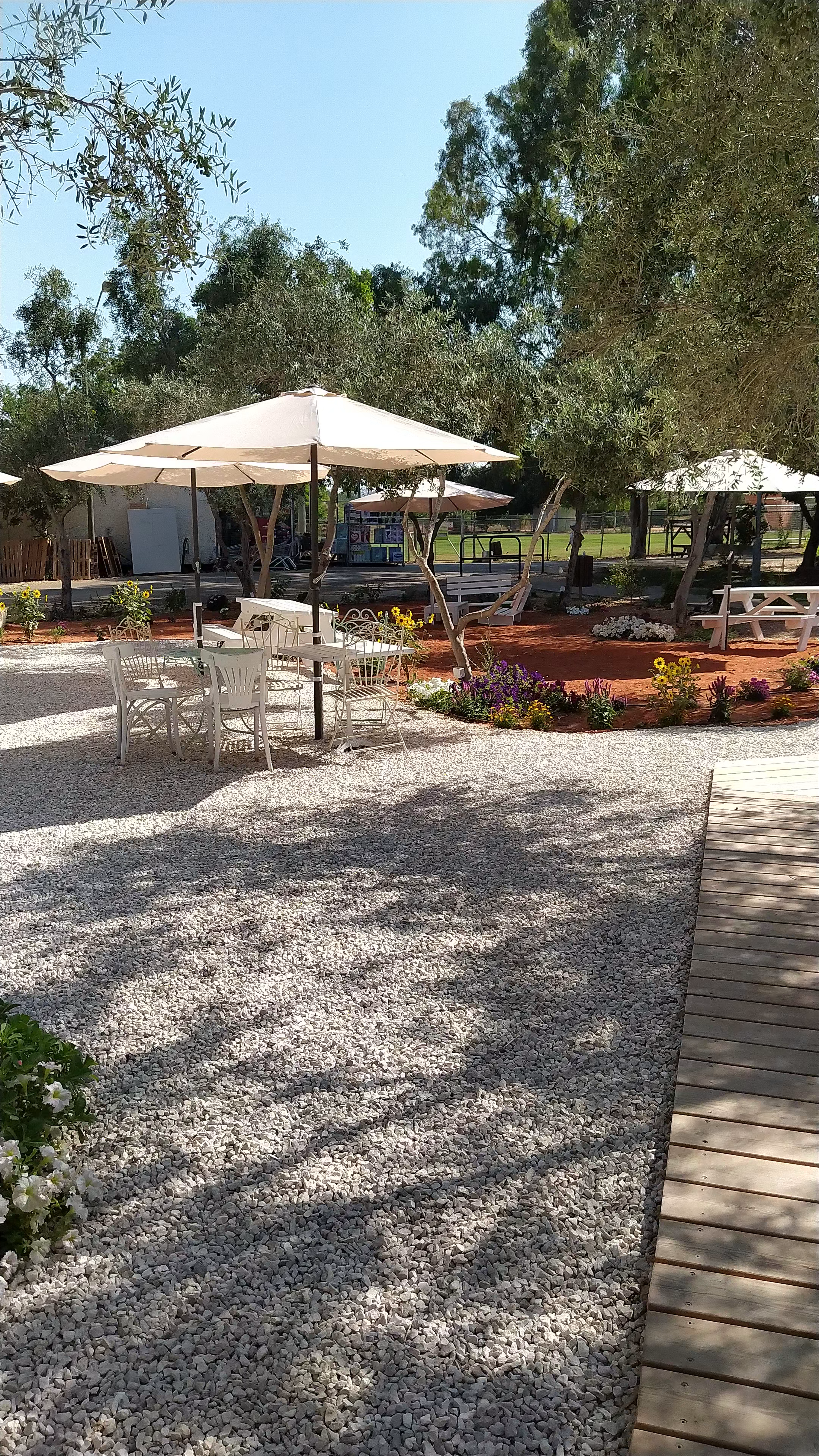 נינה | Nina עגלת קפה