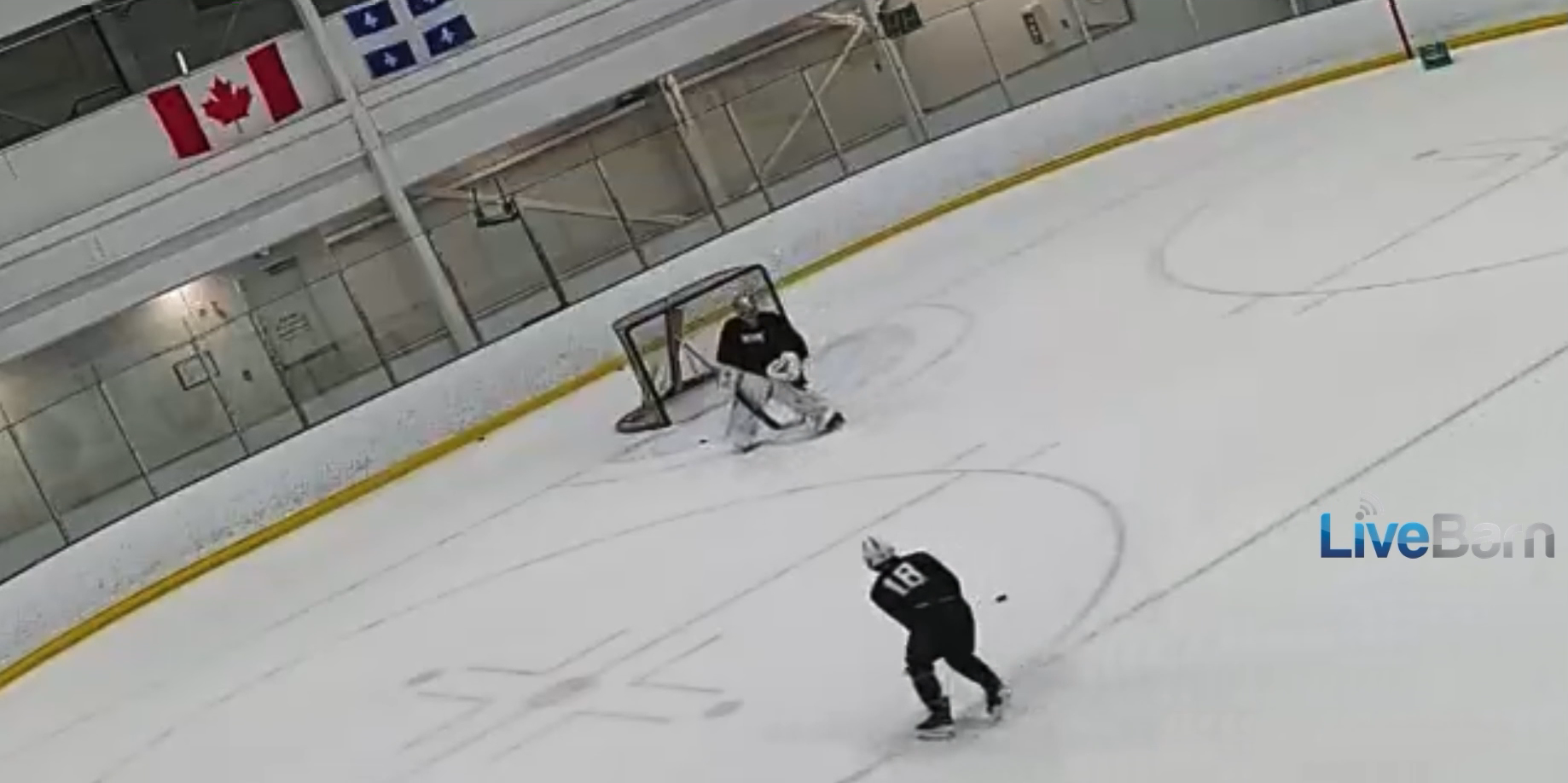William Koster - Skills