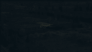 Thinking Up – Changing Your Mind to Change Your Life