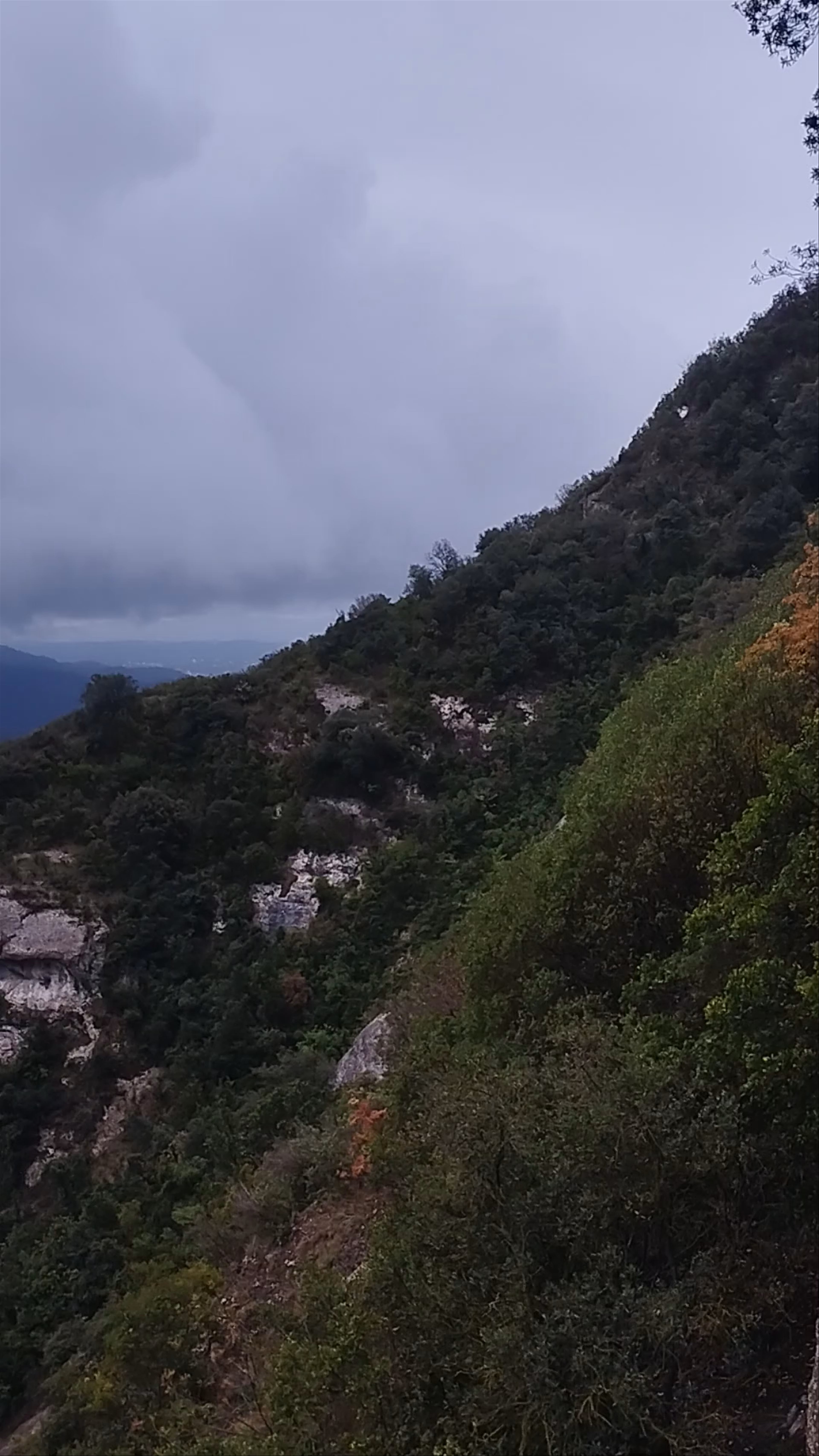 Montserrat Natural Park: Mystical Mountains near Barcelona