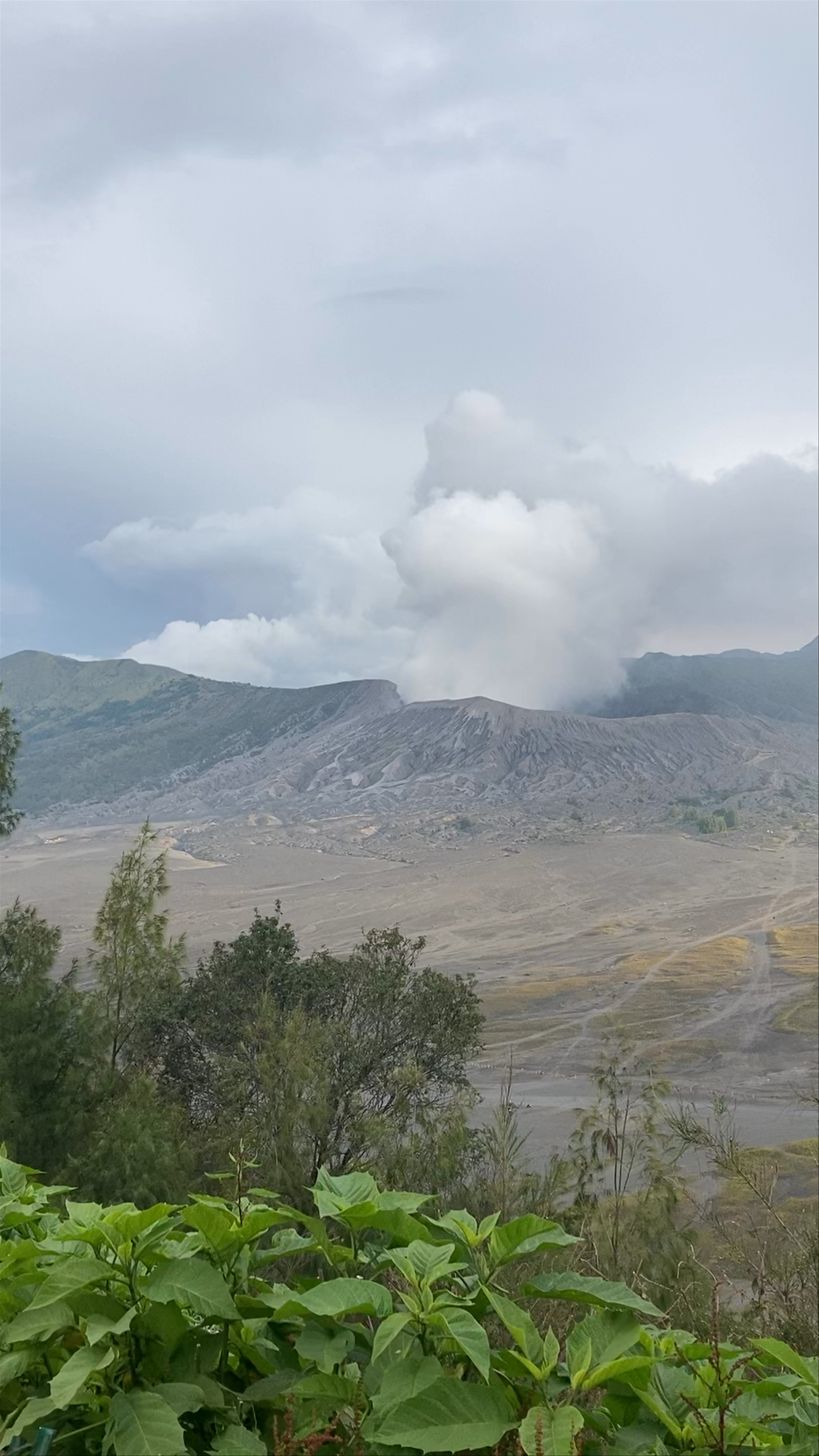 Mt Bromo