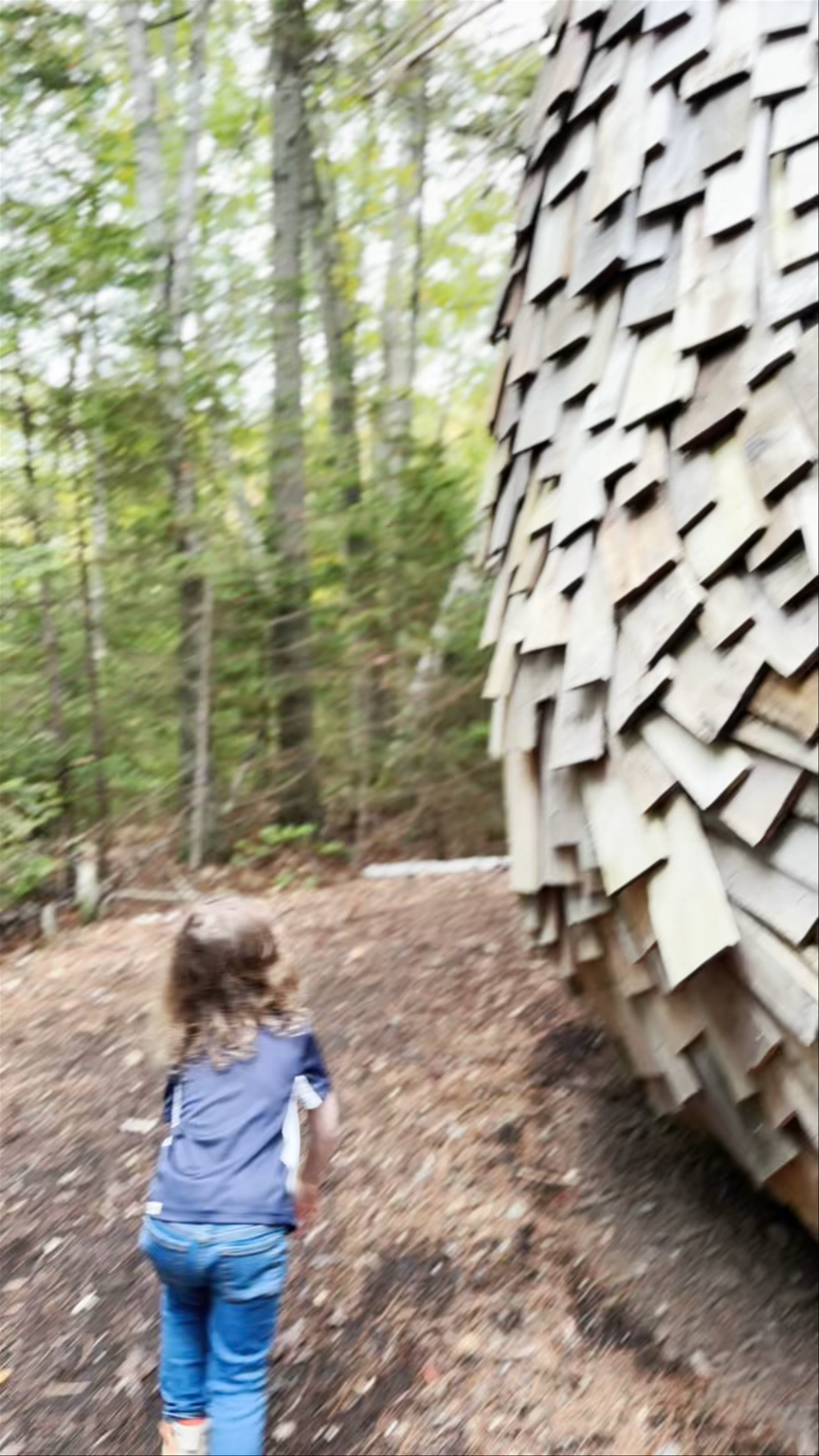 Coastal Maine Botanical Gardens