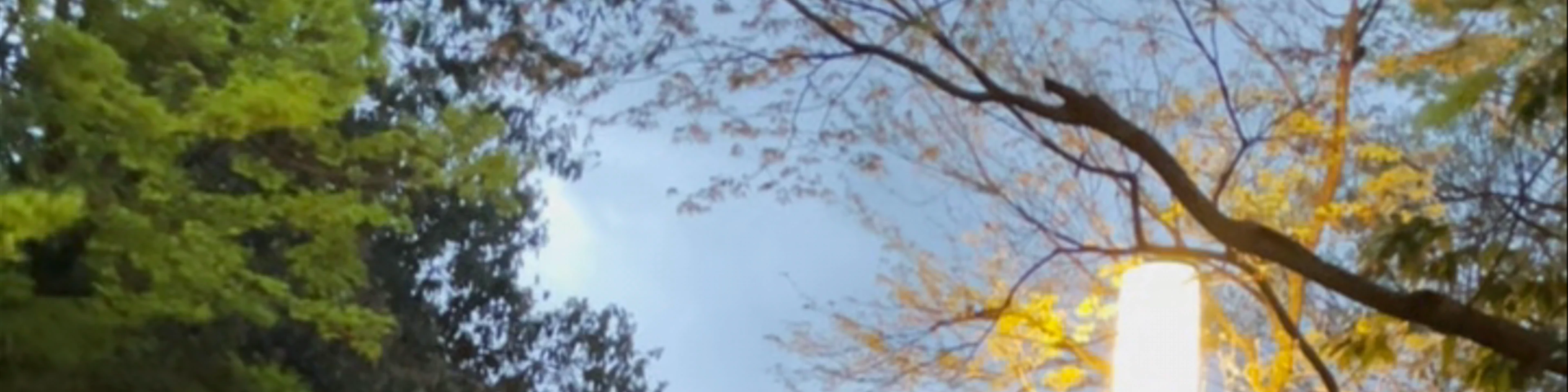 Maruyama Park