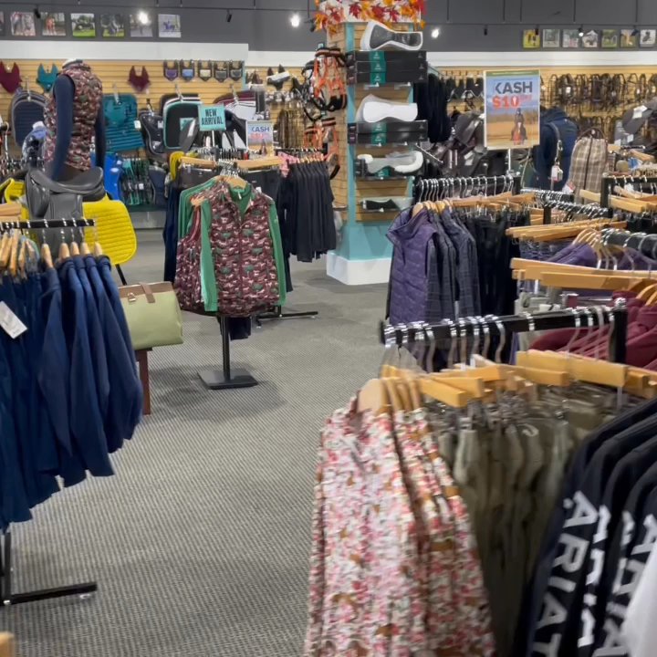 Equus Now - Horse Equipment Shops Near Me - Lewis Center, Ohio