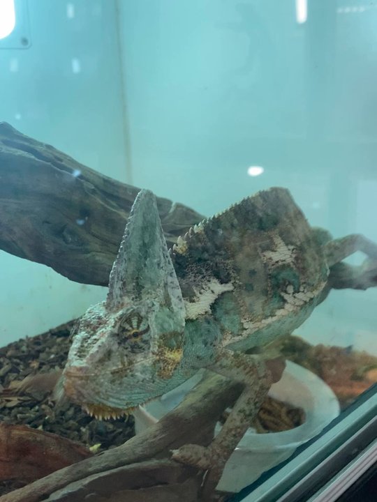 Pet Palace - Pet Stores Near Me - Covina, California