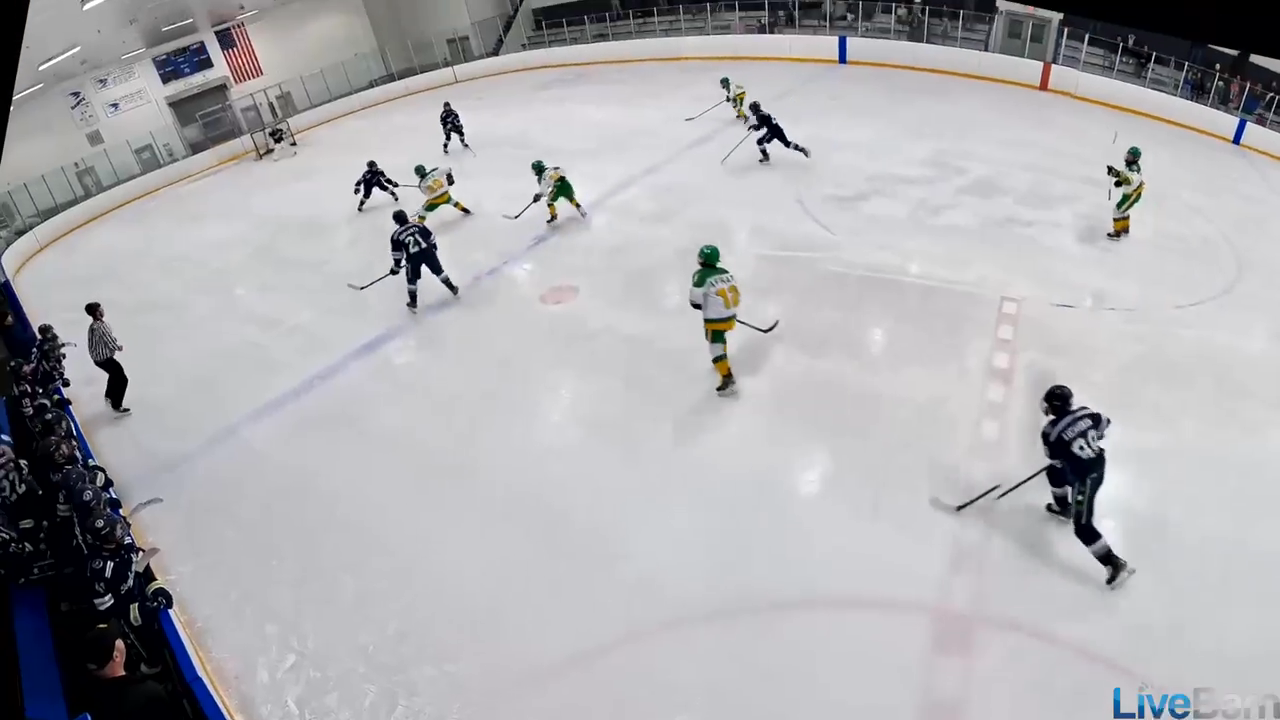 Sebastian Lopes: Lovell Knights 13U AAA Highlight Reel