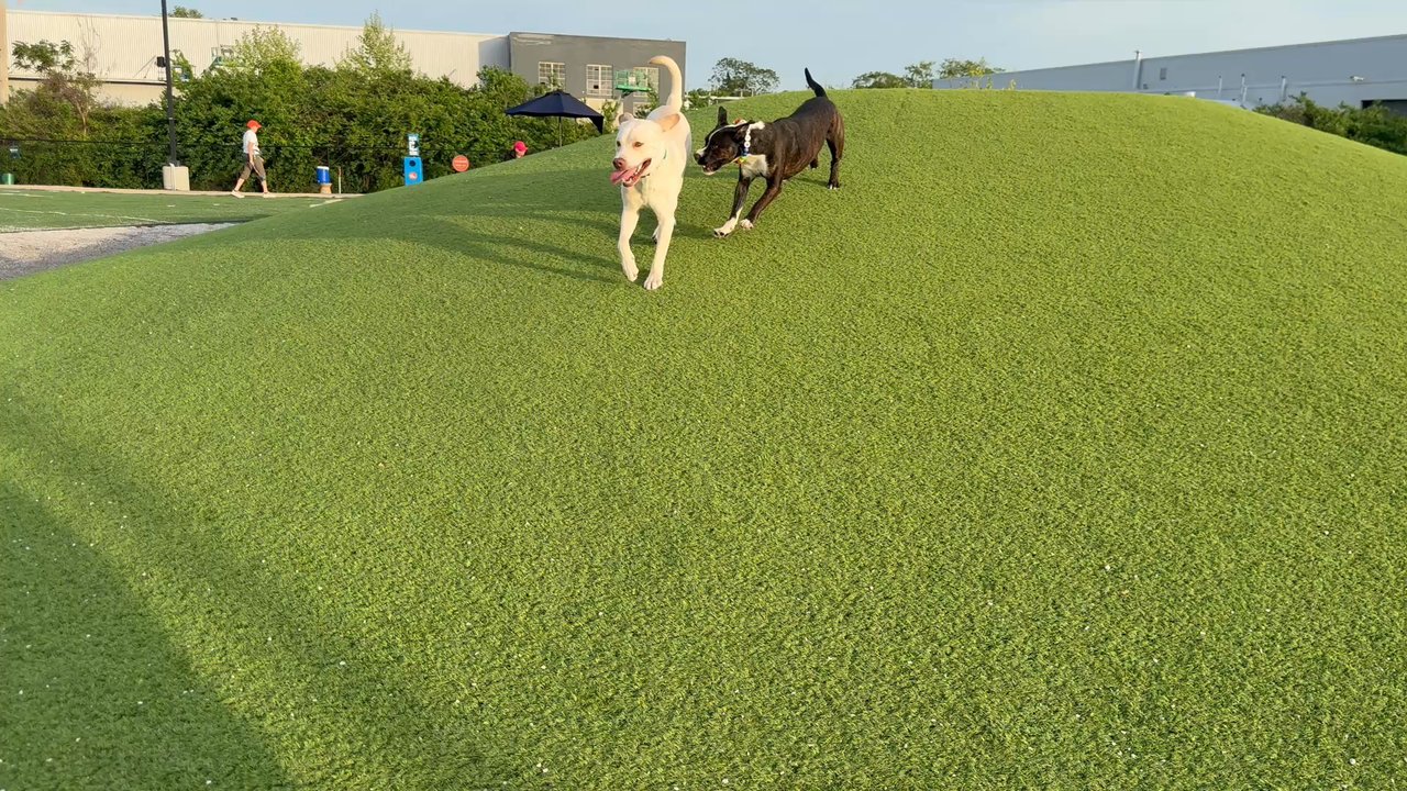 K9 Garden - Dog Parks Near Me - St. Louis, Missouri