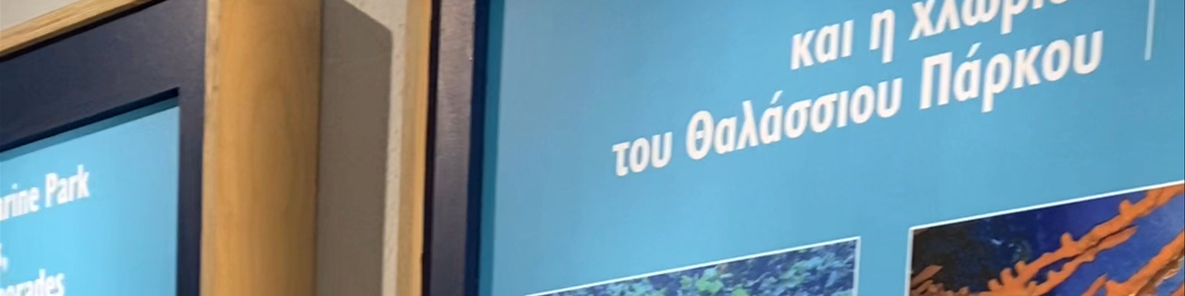MOm - Κέντρο Ενημέρωσης για τη Μεσογειακή Φώκια