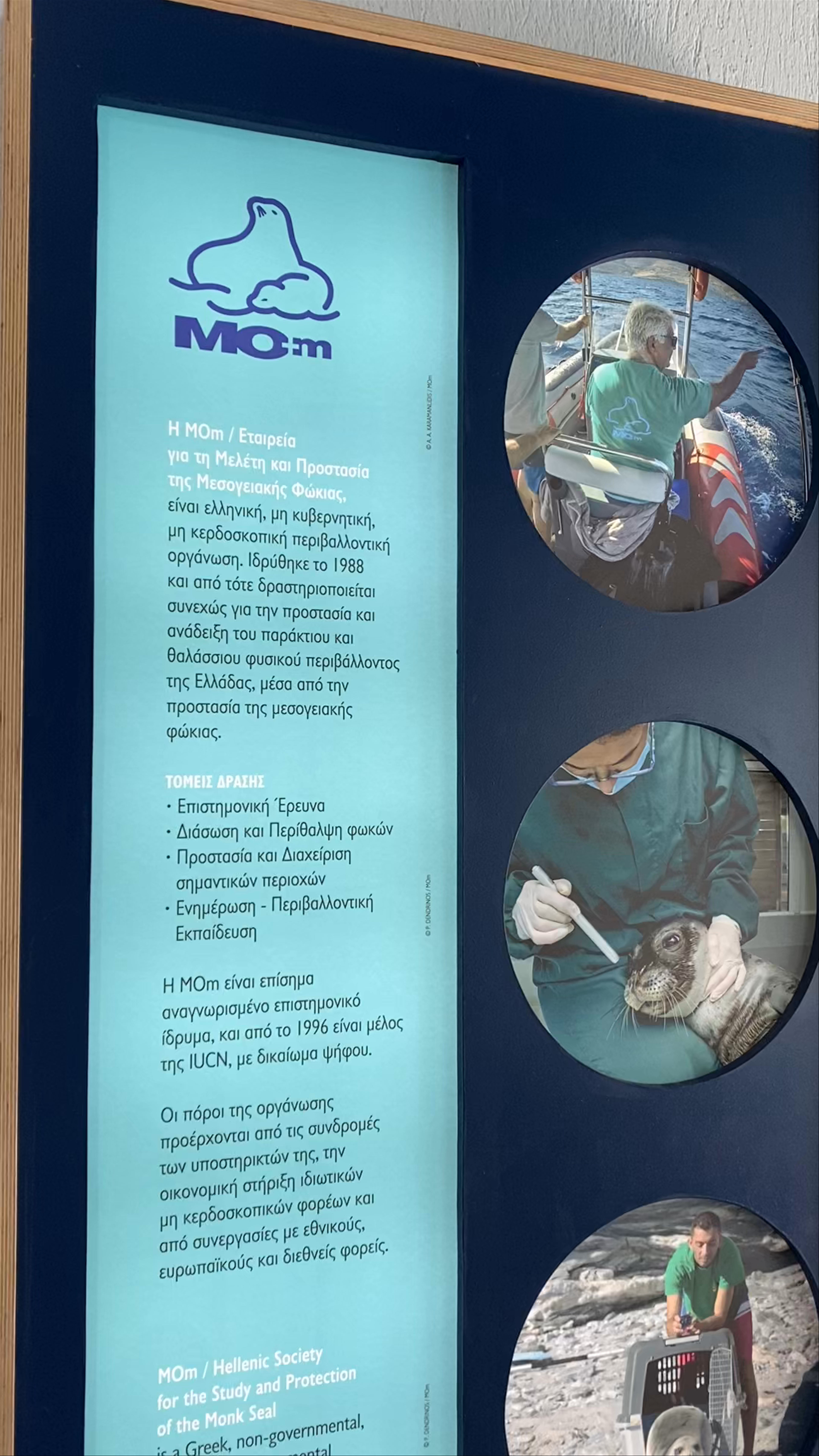 MOm - Center for Mediterranean Monk Seal Conservation in Patitiri, Greece