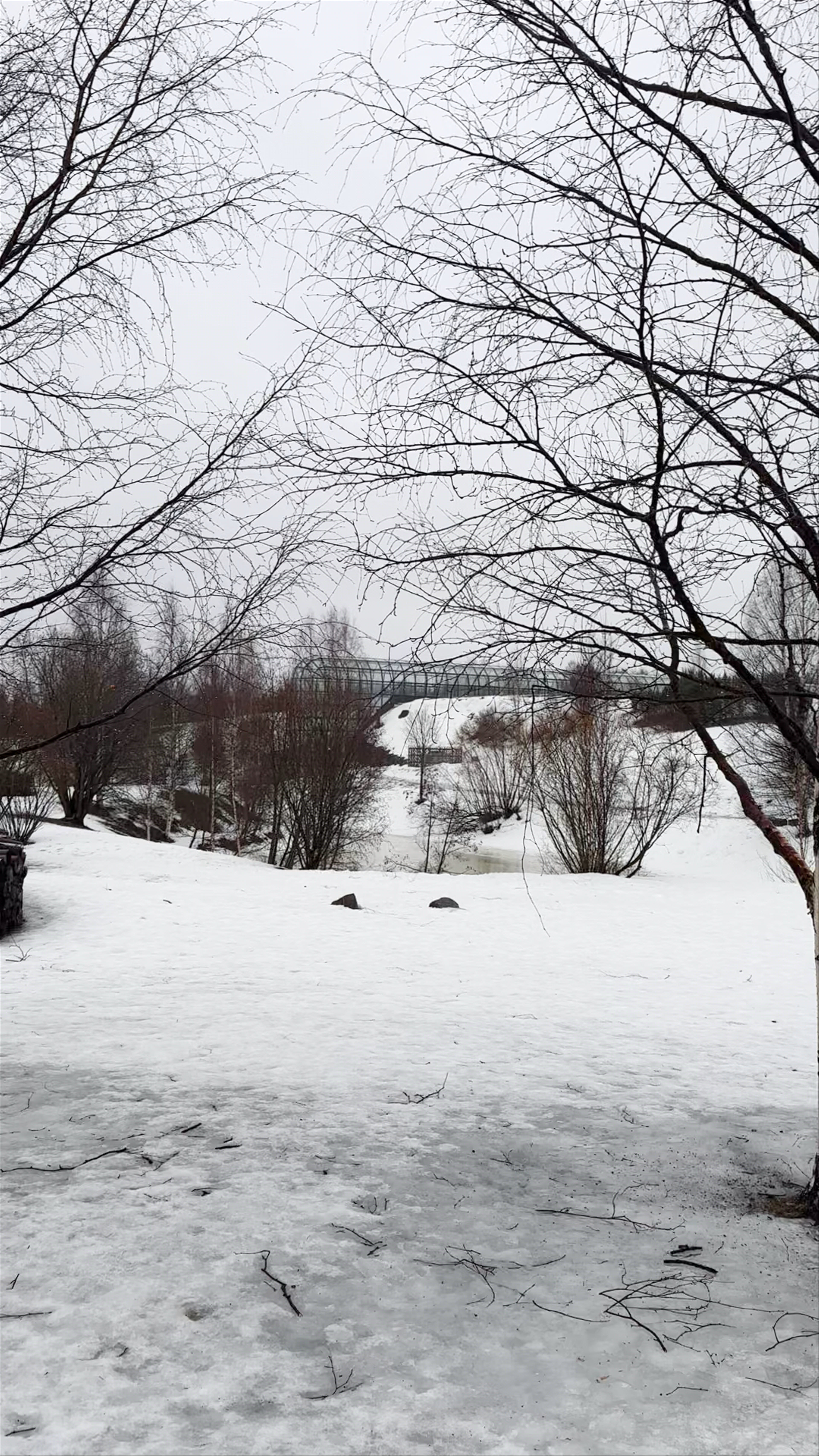 Arktikum Arboretum