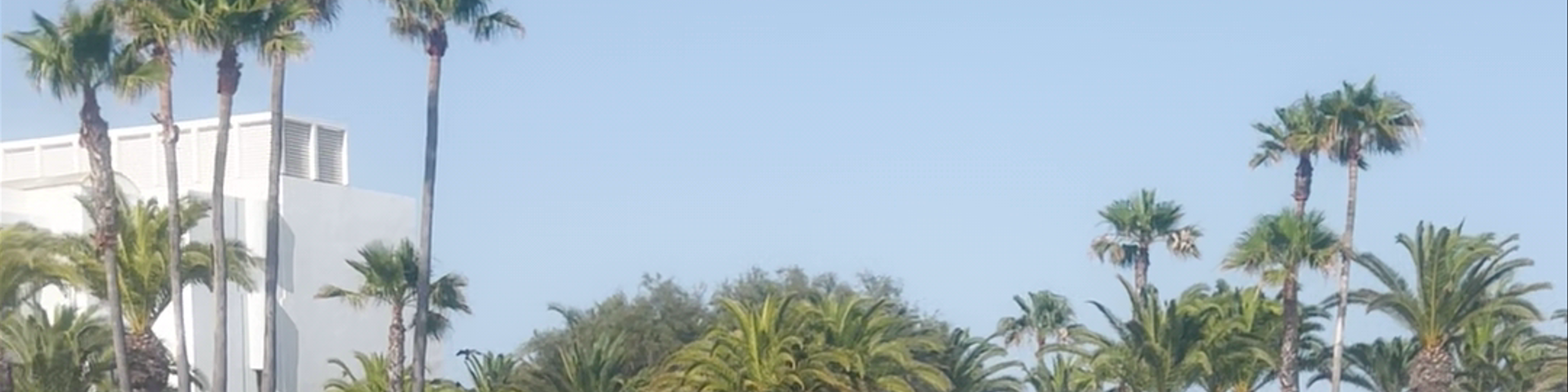 Ibiza