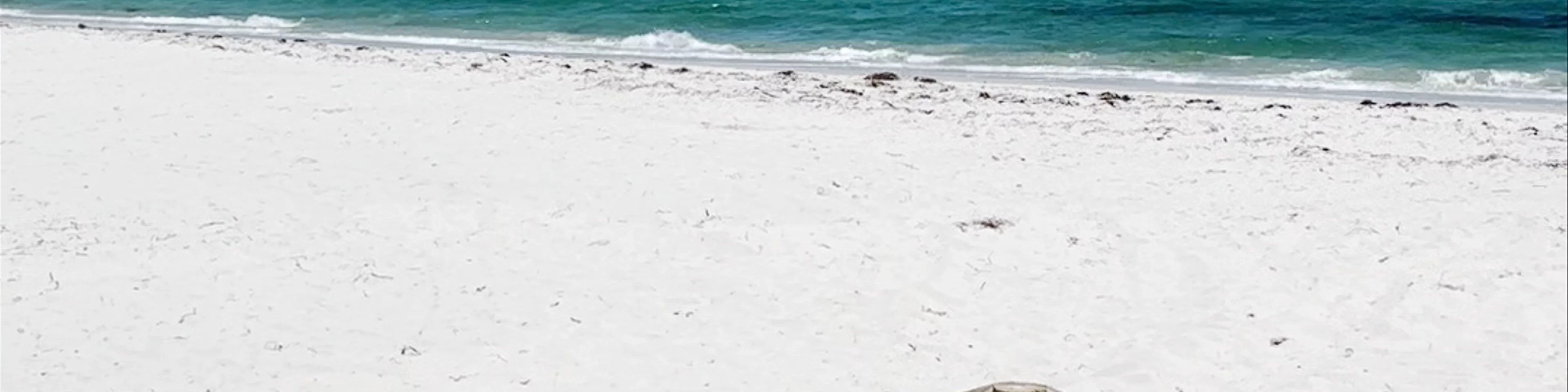 South Beach