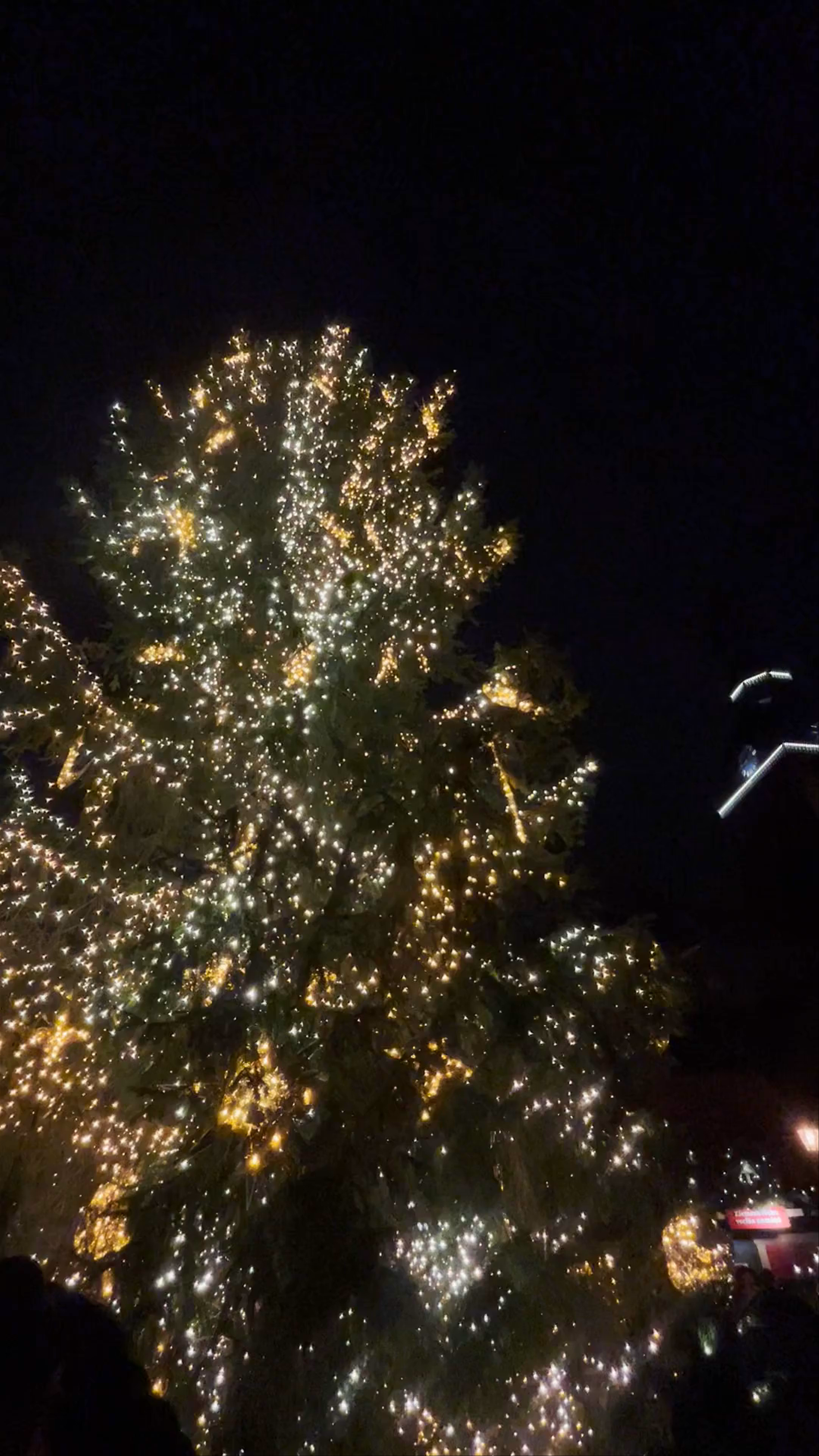 Riga Christmas Market