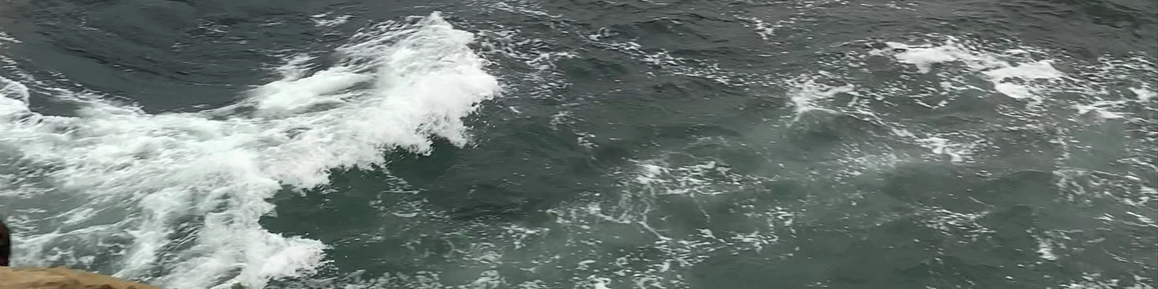 la Jolla Shores Beach